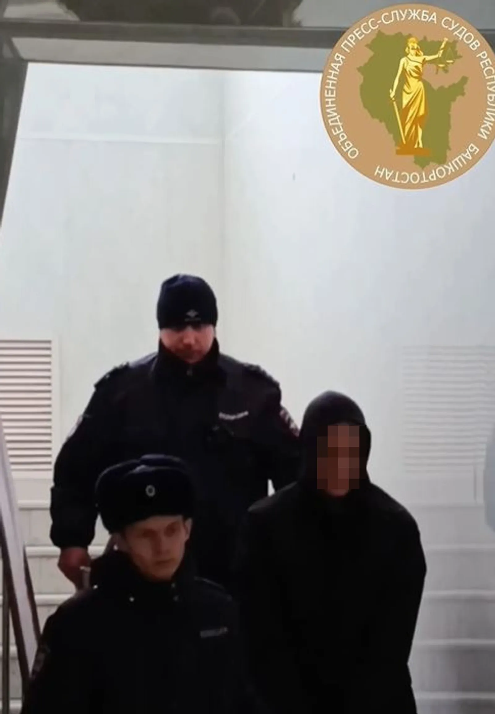 В Башкирии расчленителю матери продлили арест