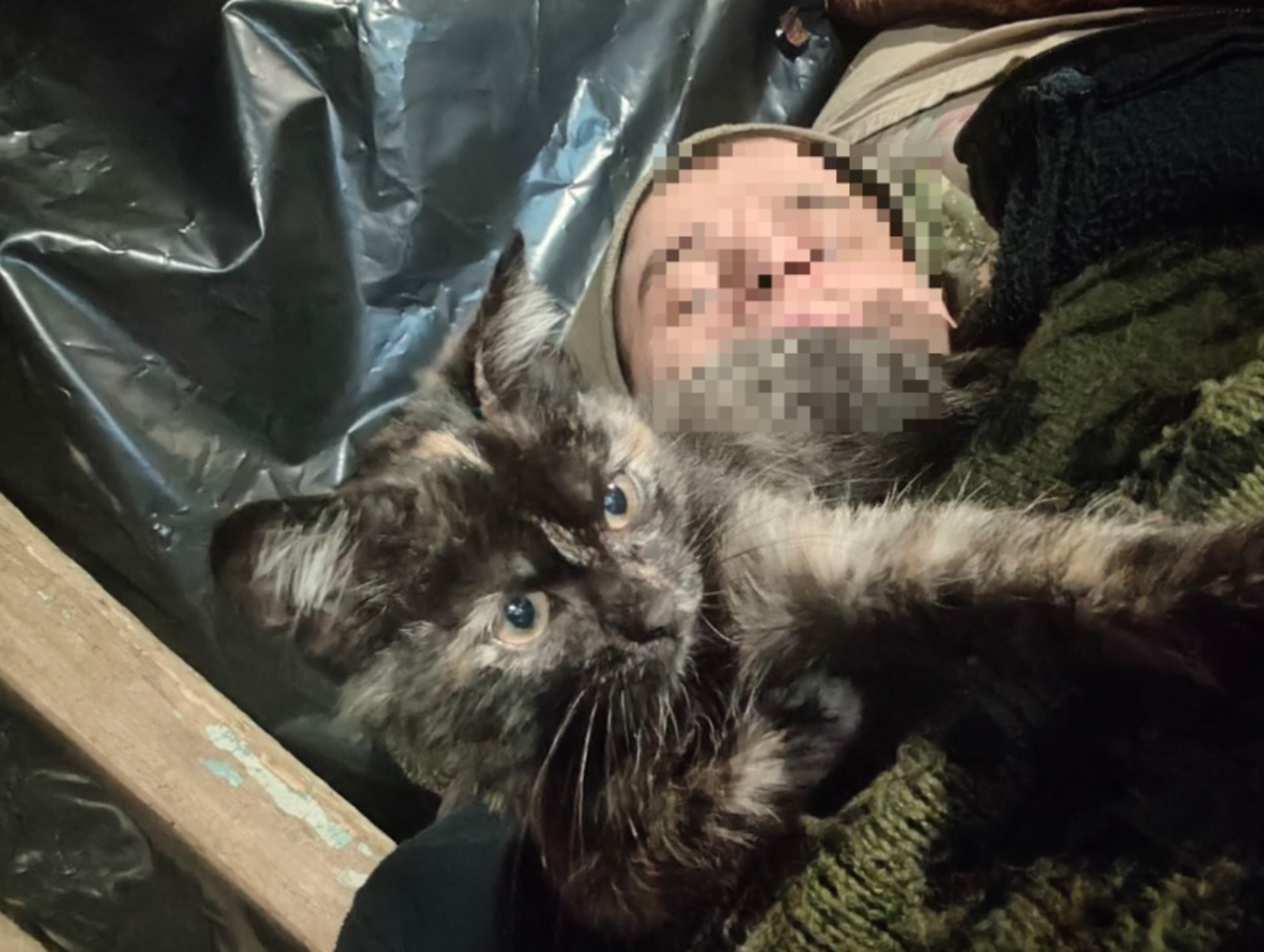 Боец СВО «Вагнер» рассказал о необычном сослуживце — кошке по кличке «Молния»