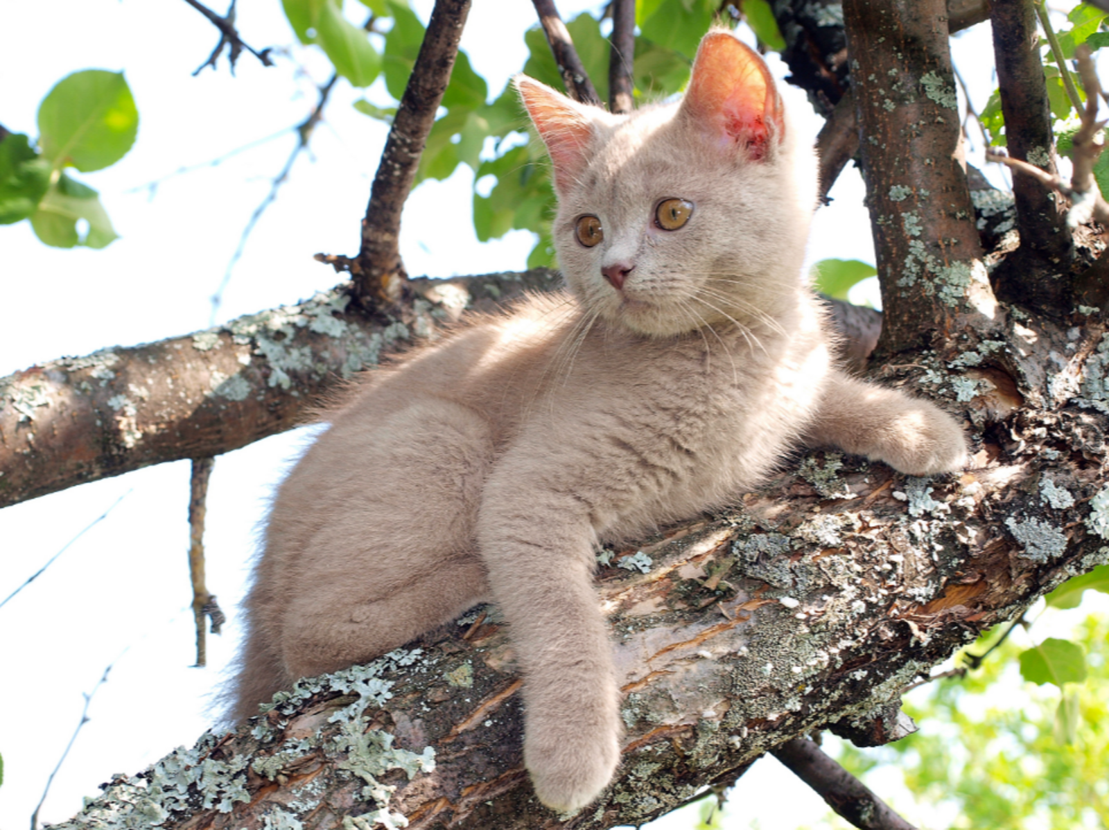 5 знаков Зодиака, для которых 17 февраля станет переломным днем