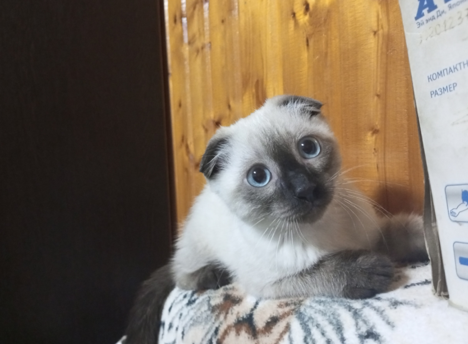 3 знака Зодиака, для которых 18 февраля принесет приятную новость