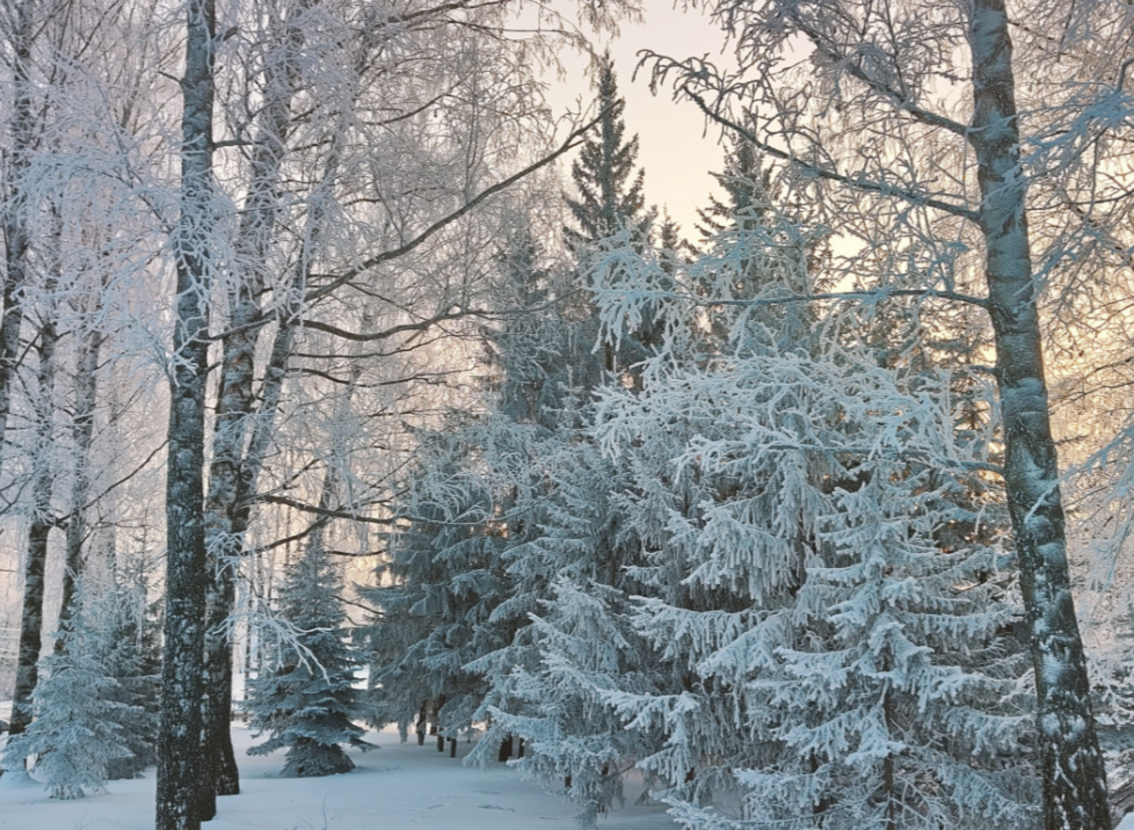 Гороскоп на 3 февраля: трех знаков зодиака ждет удачный день!