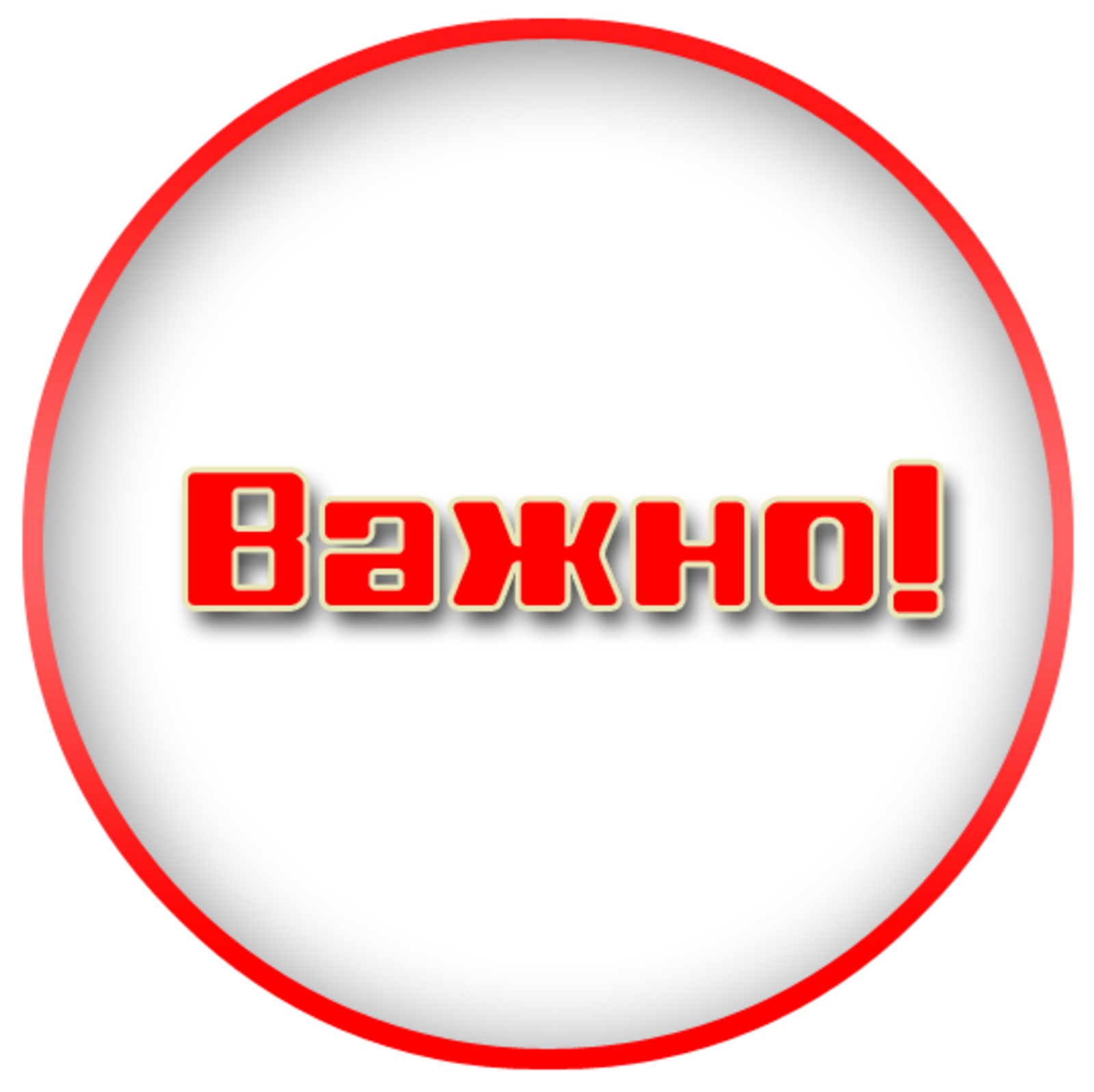 Участники СВО станут кандидатами на выборах в депутаты