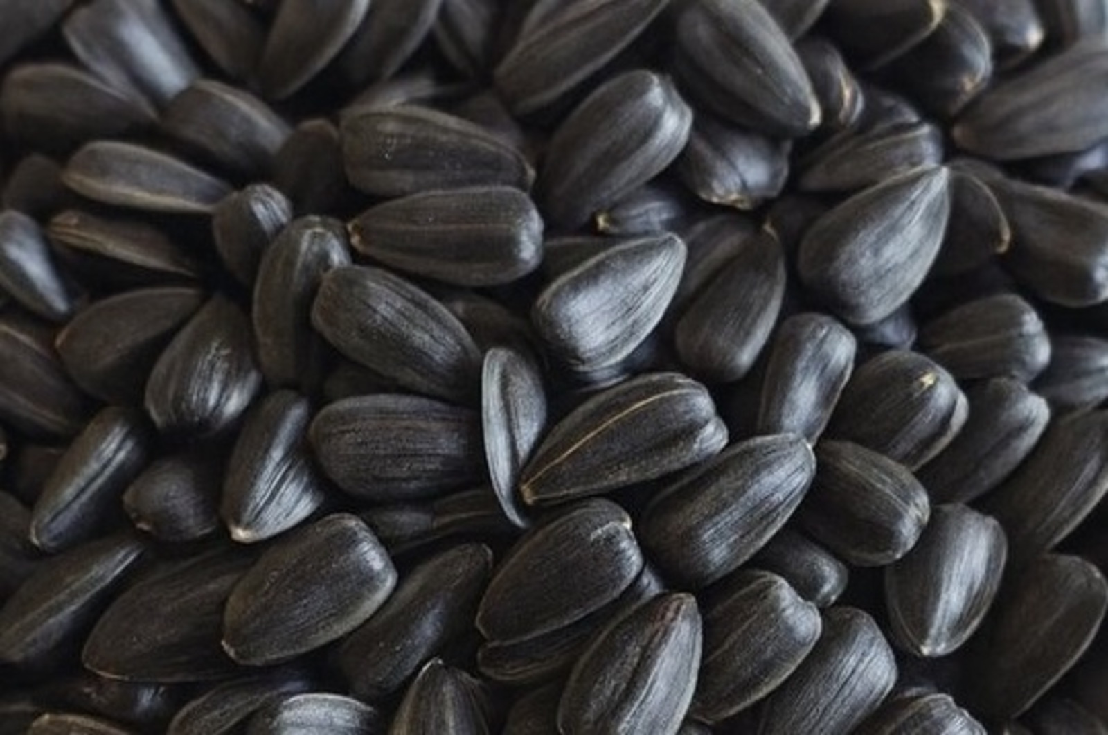 Семечки: неожиданный помощник в борьбе с давлением