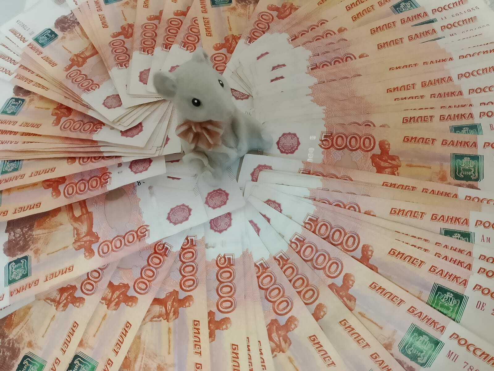 Борай районында пенсионер хатын акчаларын курьерга биреп җибәргән