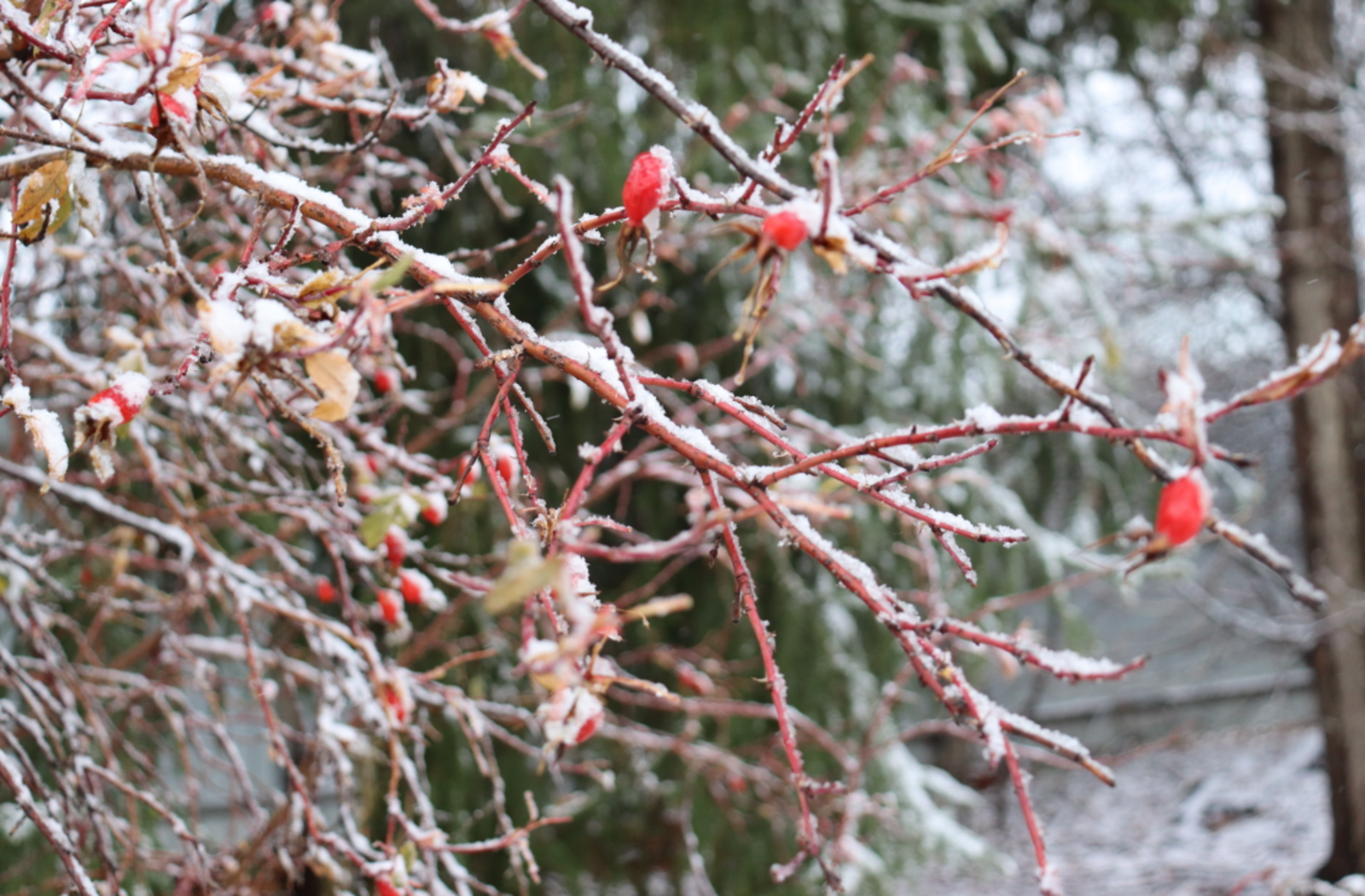 Гороскоп на 15 марта 2026: день "X" для трех знаков зодиака – время перемен