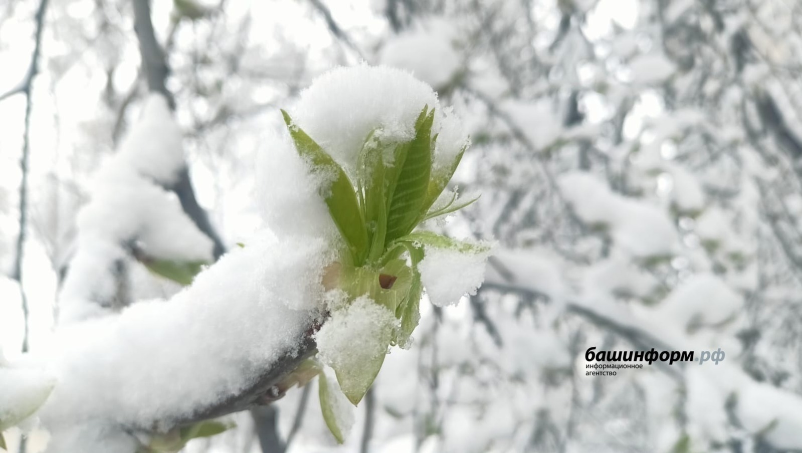 Есть ли доля правды в народных приметах: гадаем по погоде
