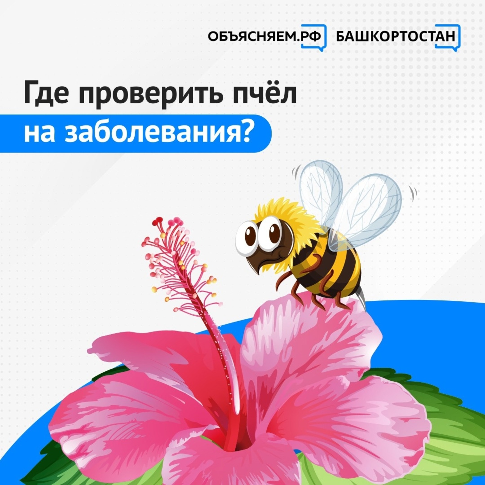 Пчеловоды Балтачевского района могут  проверить свои  пчелы на заболевания