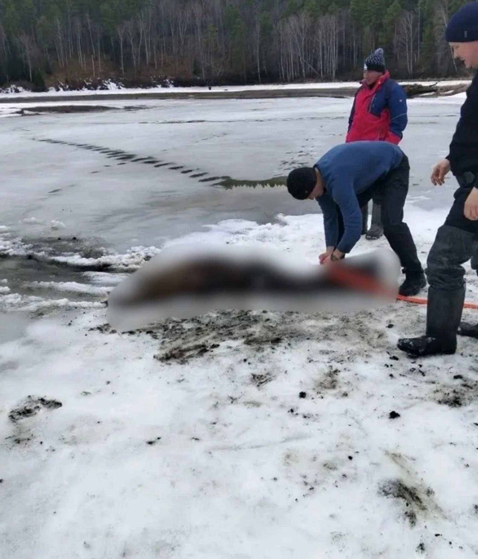 В Башкирии из пруда достали труп мужчины