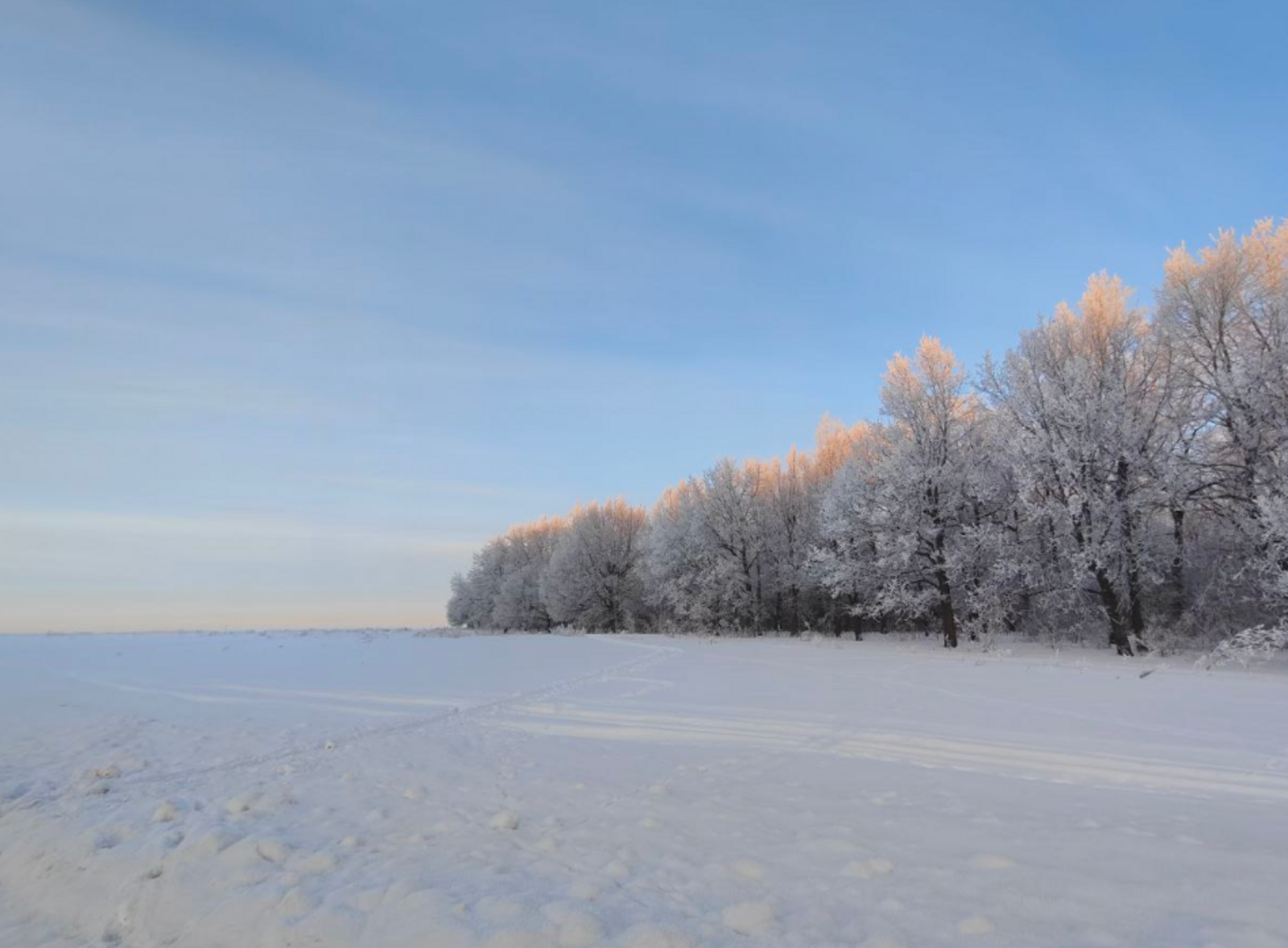 Гороскоп на 4 февраля: звезды подскажут, как действовать и чего избегать