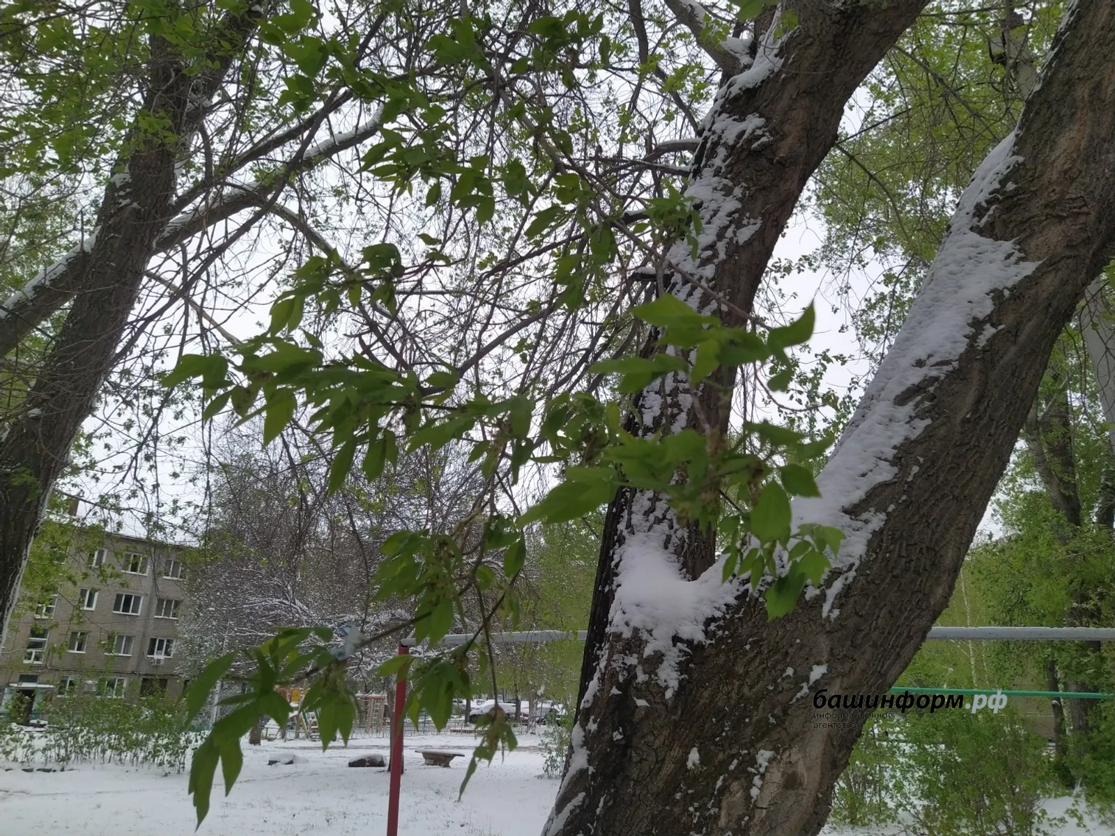 В Башкирии ожидается снег и гололед