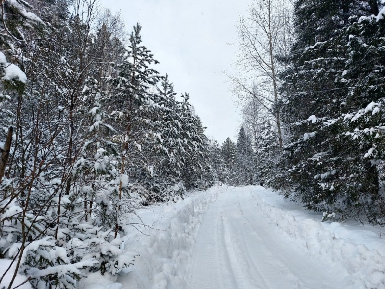 Гороскоп: 4 знака Зодиака 25 февраля получат тревожную весть