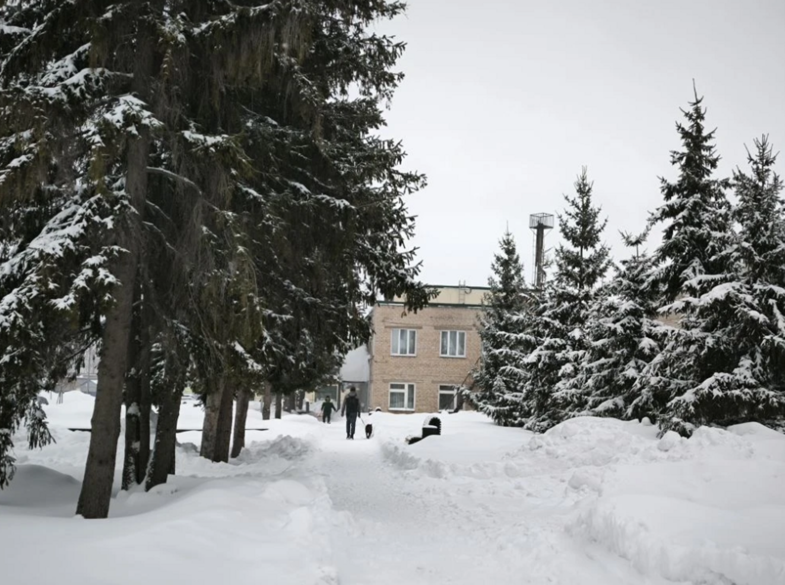 Гульназ Салаватова  Полный гороскоп для всех знаков зодиака на 4 марта 2026 года