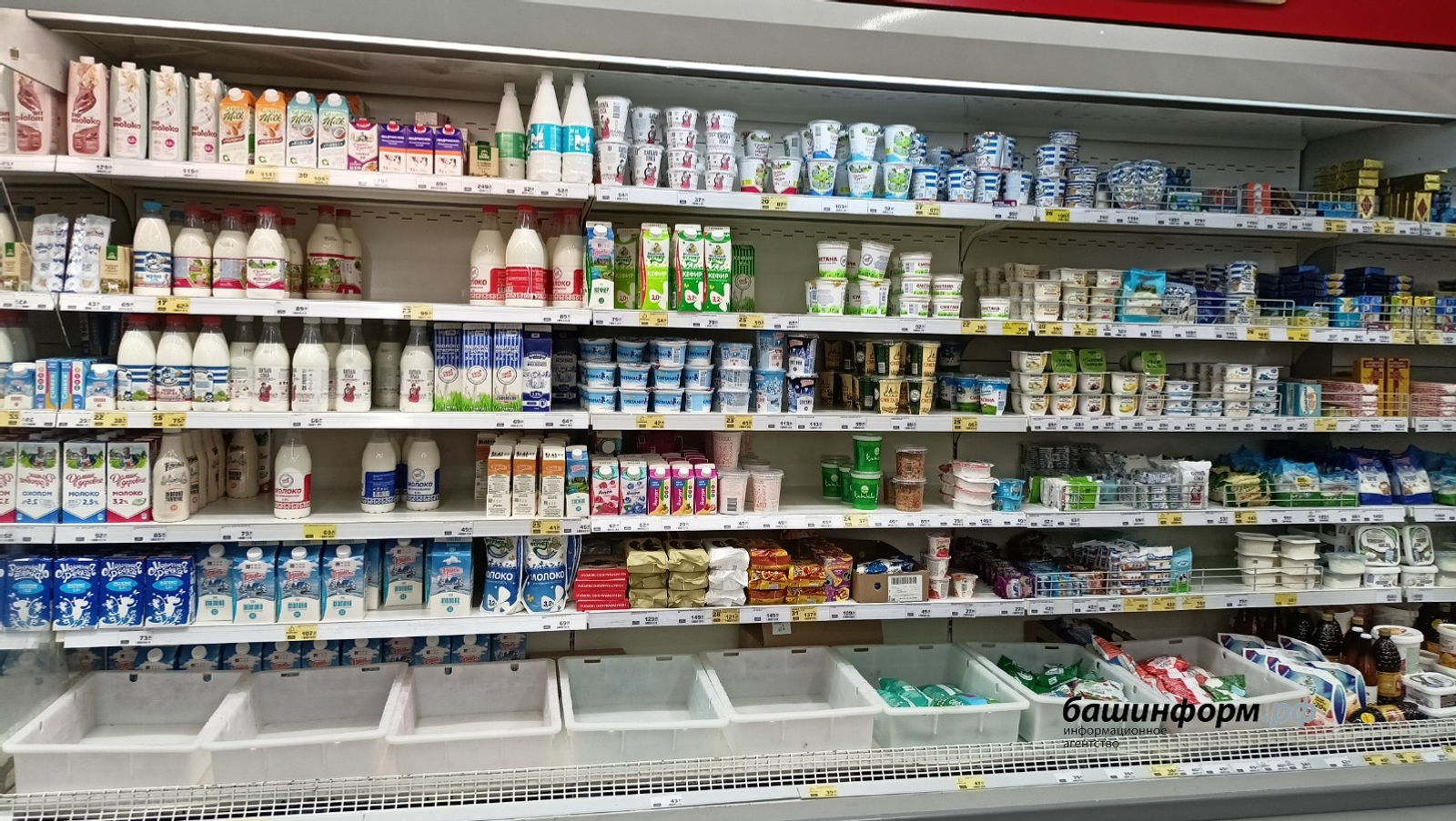 «Савушкин продукт» и «Смолевичи»: что не так с творогом