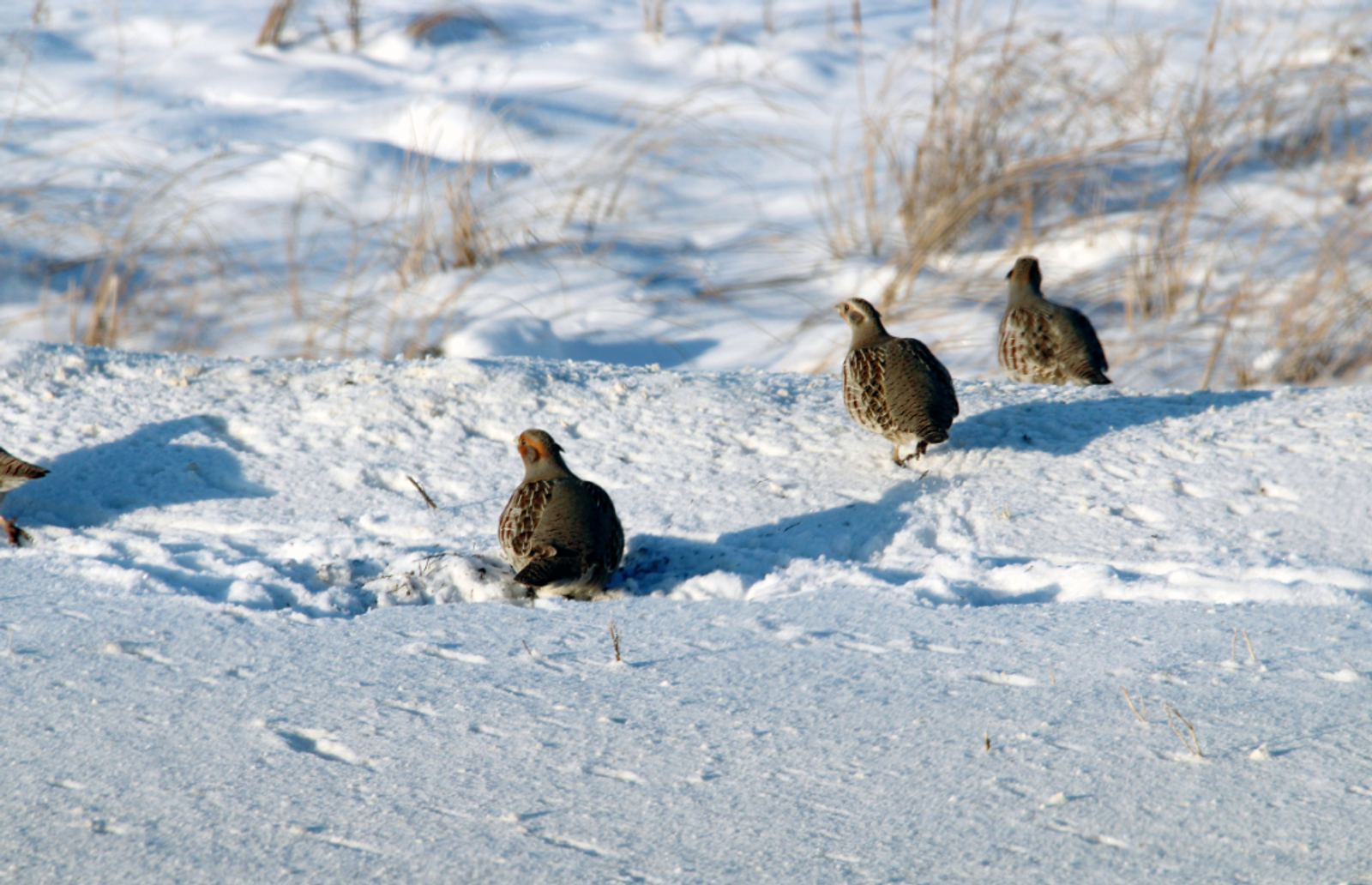 Гороскоп на 25 апреля 2026: 4 знака зодиака получат яркий сигнал судьбы