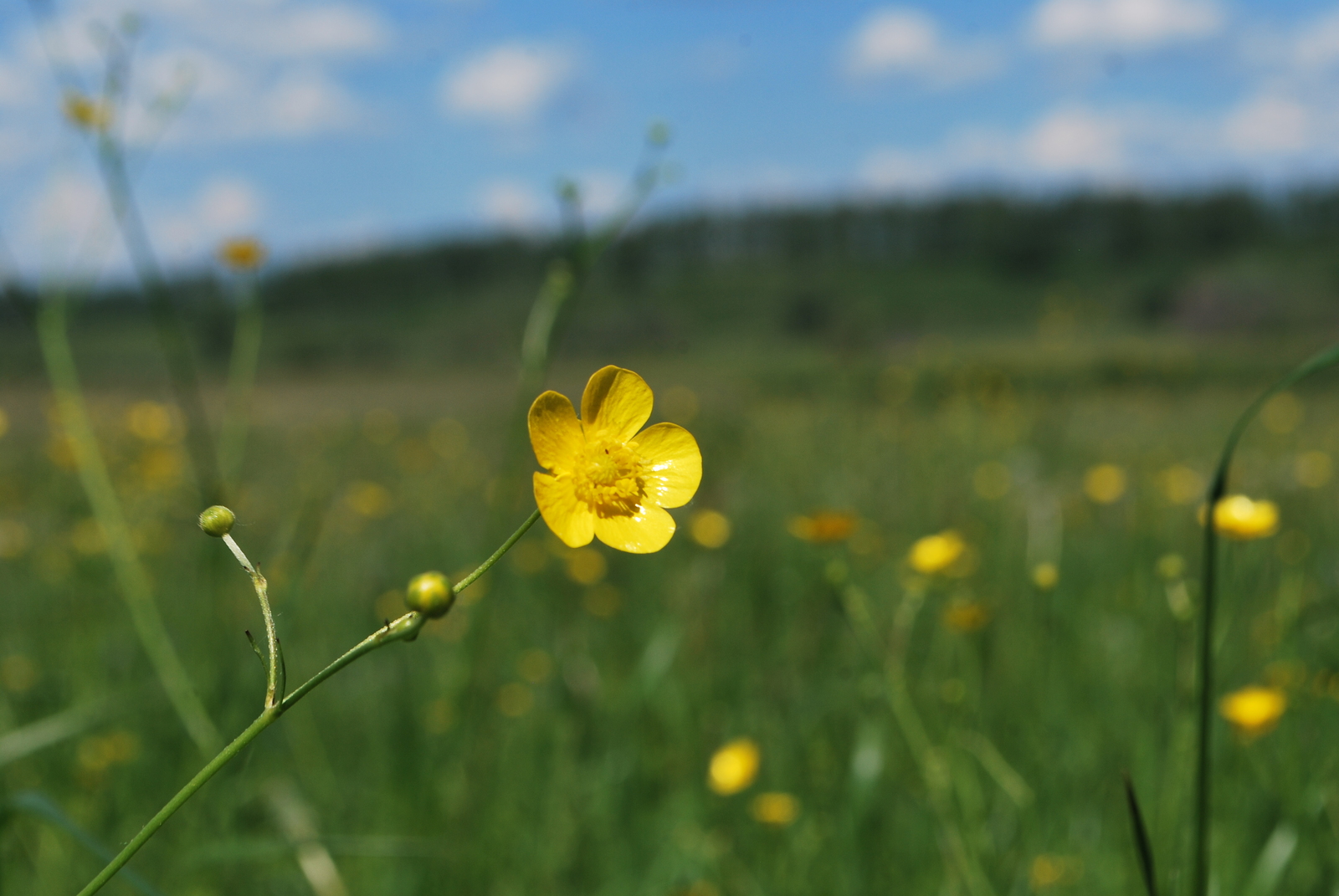 Тормыш тәҗрибәсе- 104 ел