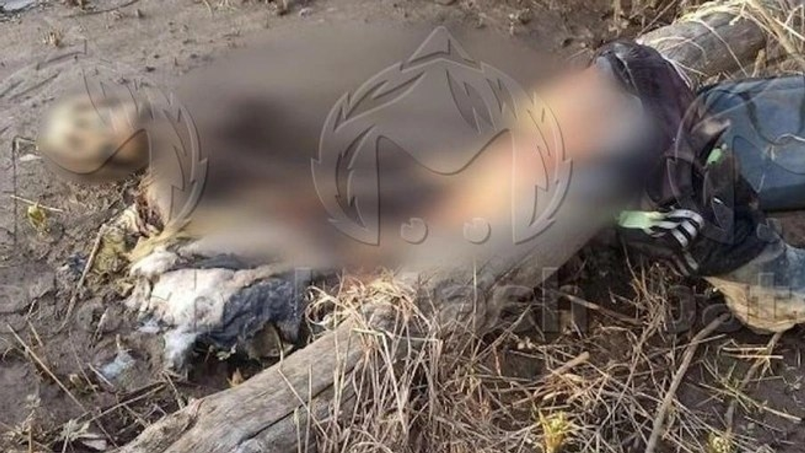 Туристы нашли скелет человека на реке Иняк в Башкирии