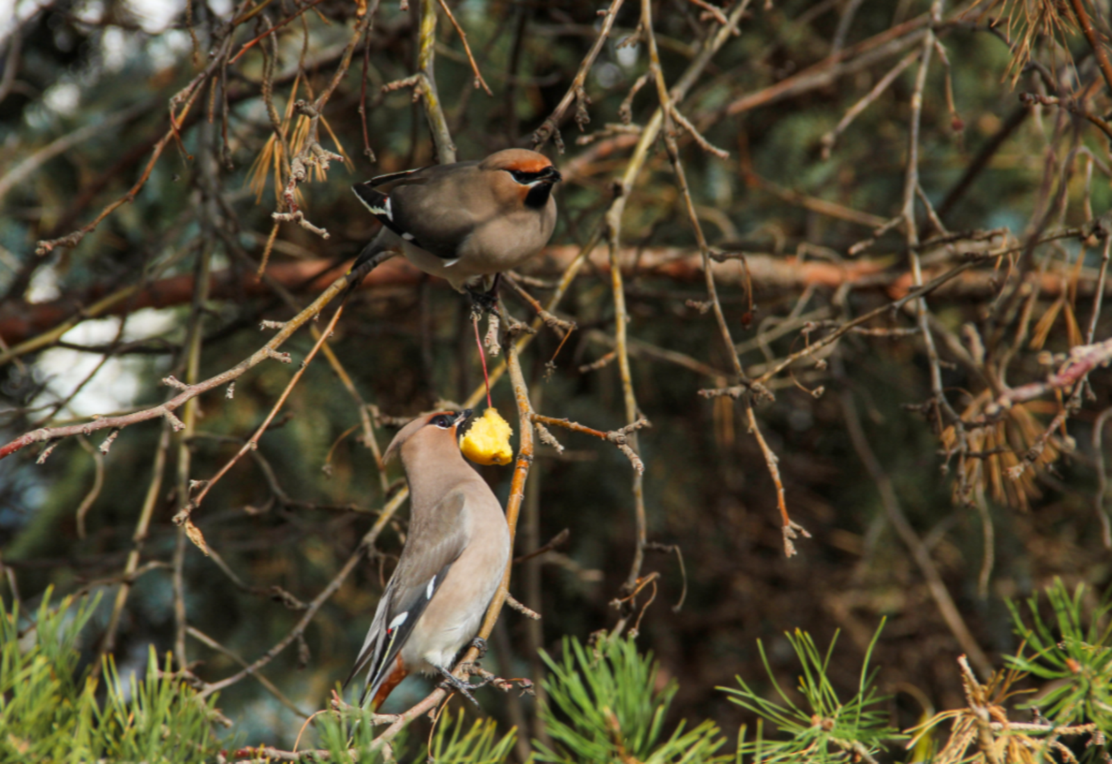 Для 3 знаков зодиака 24 февраля станет днем начала новой жизни