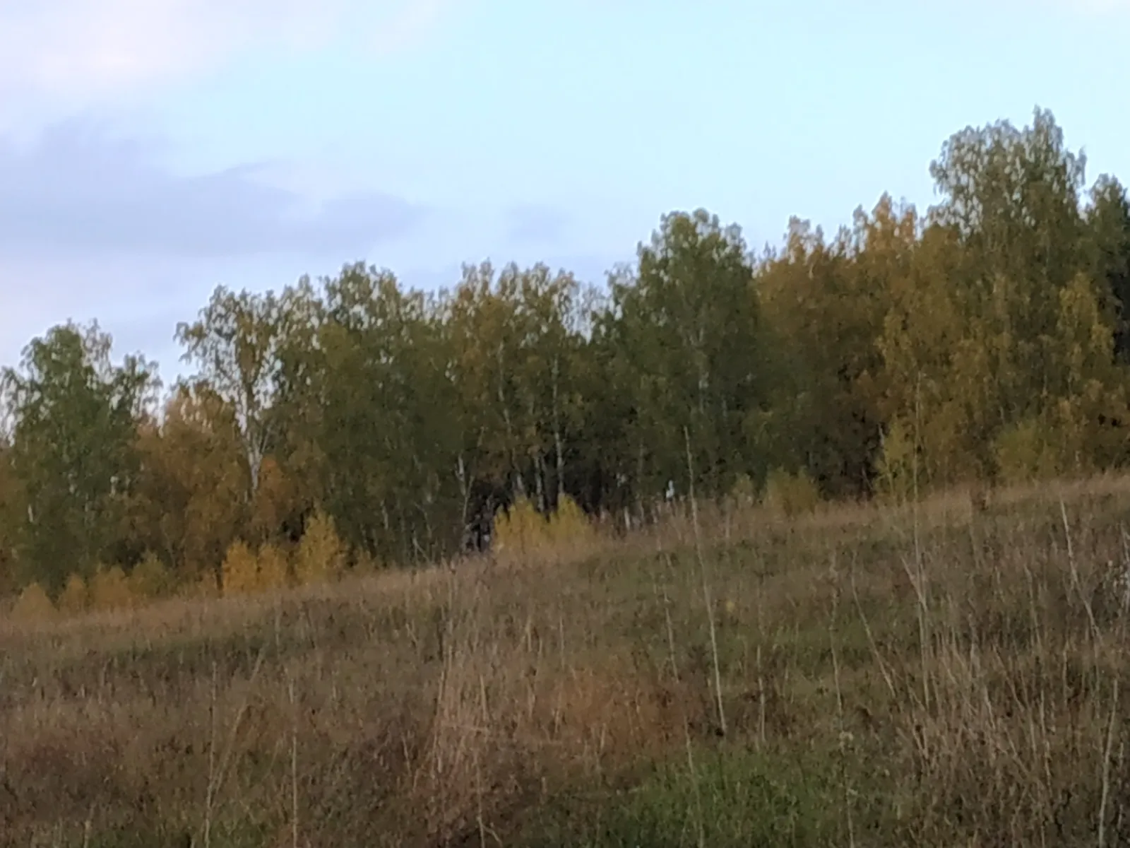 Мөһим эшләр башкарып