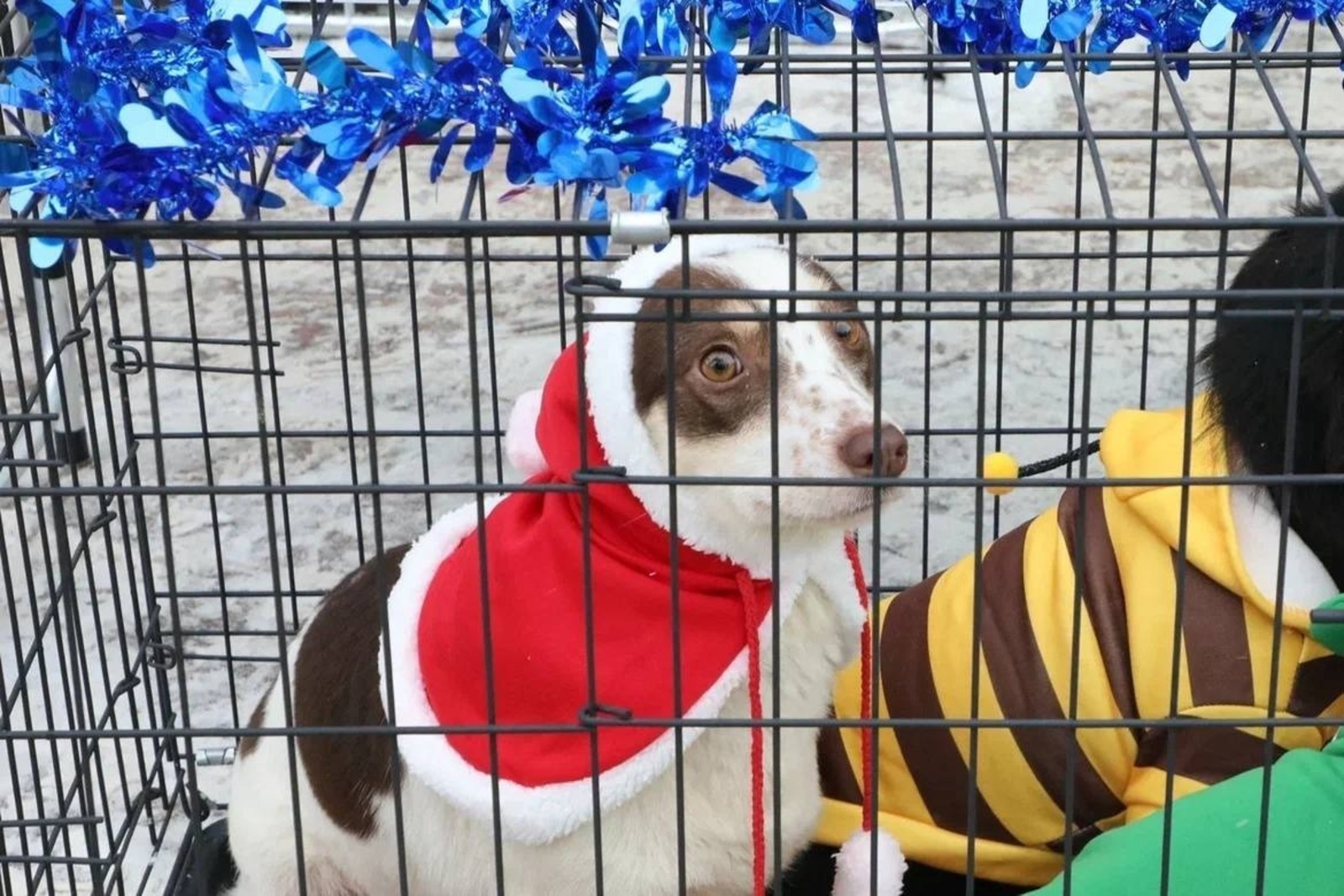 В Башкирии пройдет очередная акция «Ищу человека»