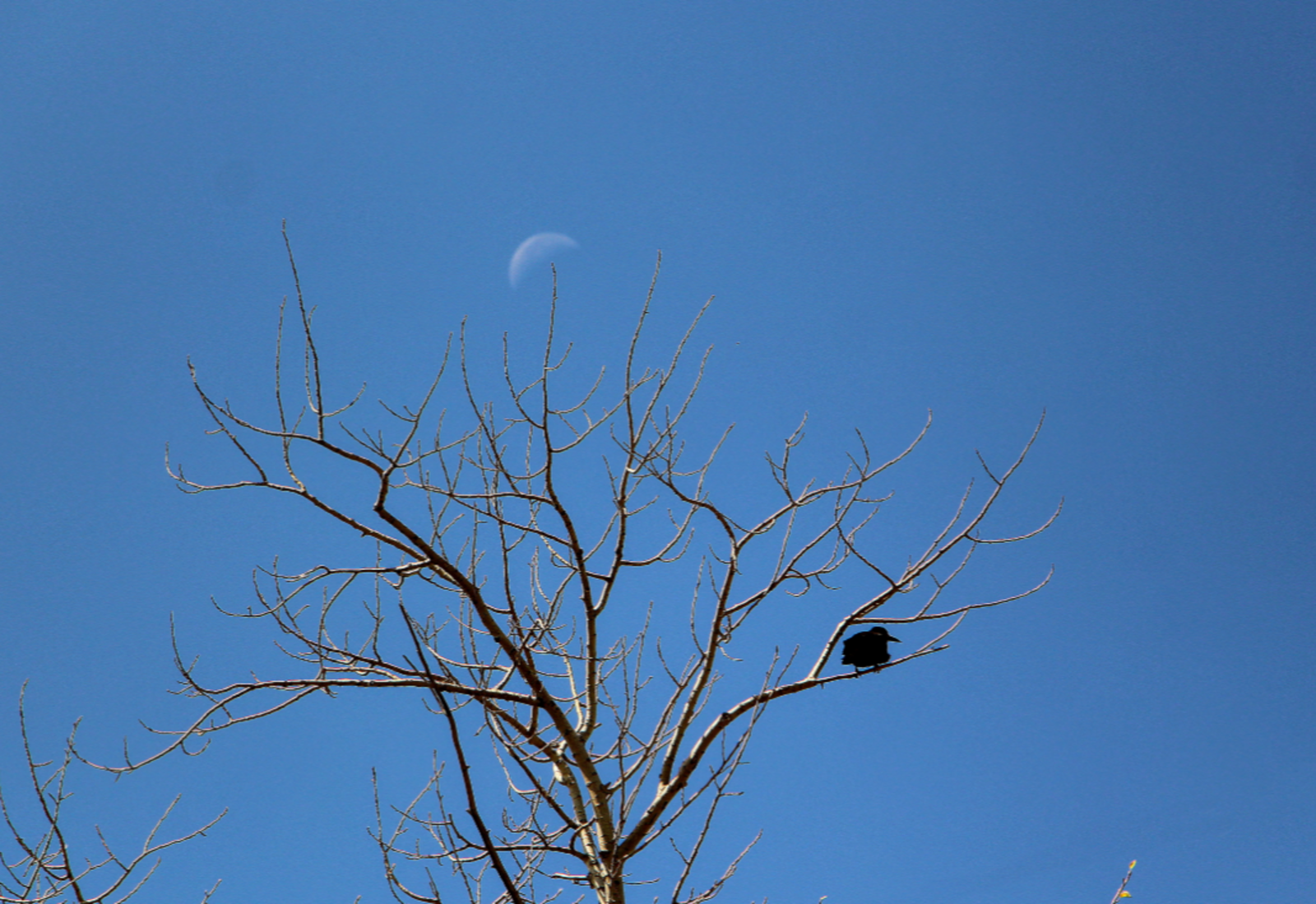 Елена Петрова  Гороскоп: 5 знаков Зодиака 27 февраля встретят свое прошлое