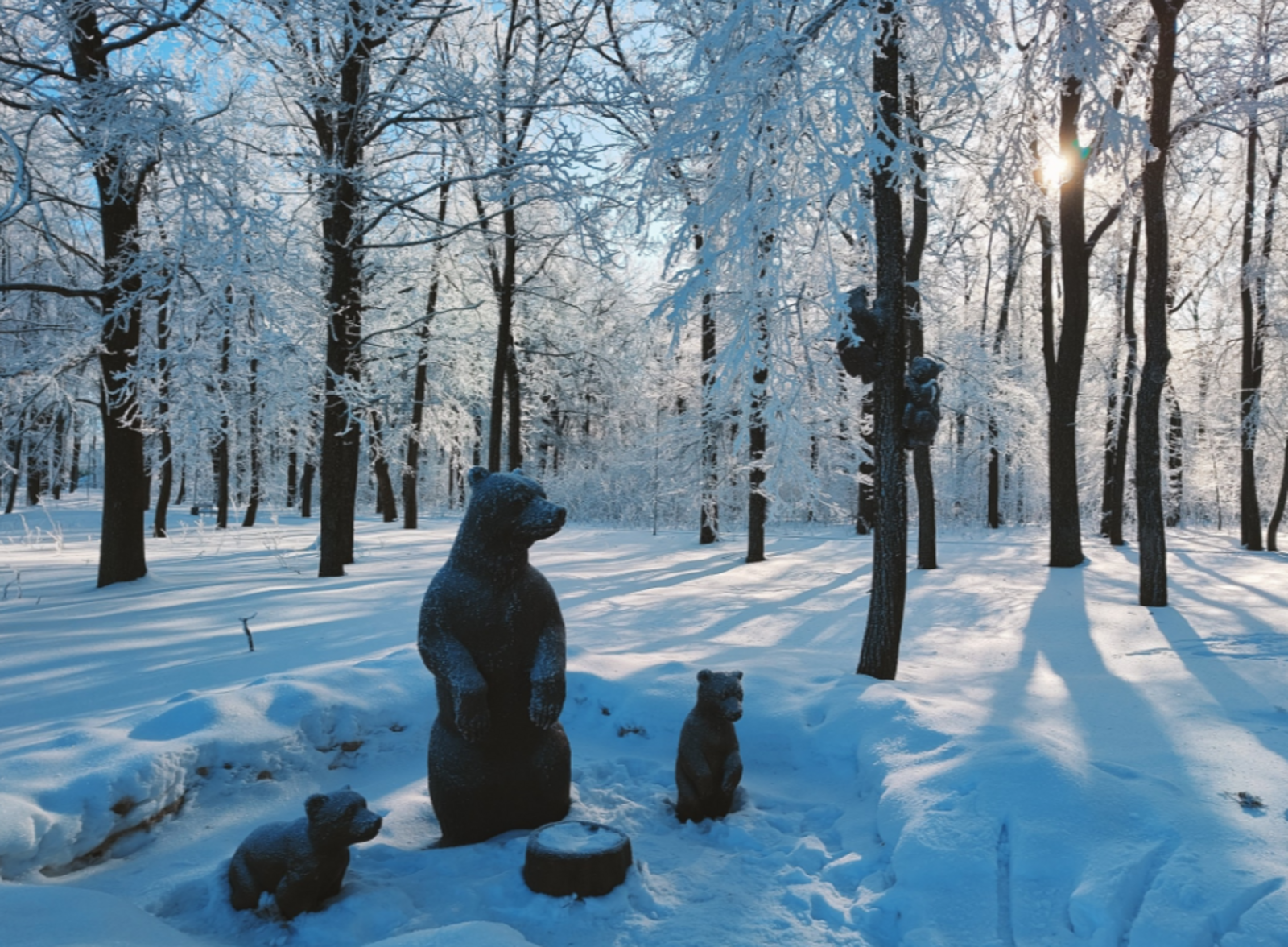 3 знака зодиака, которые 8 февраля встретят свою любовь