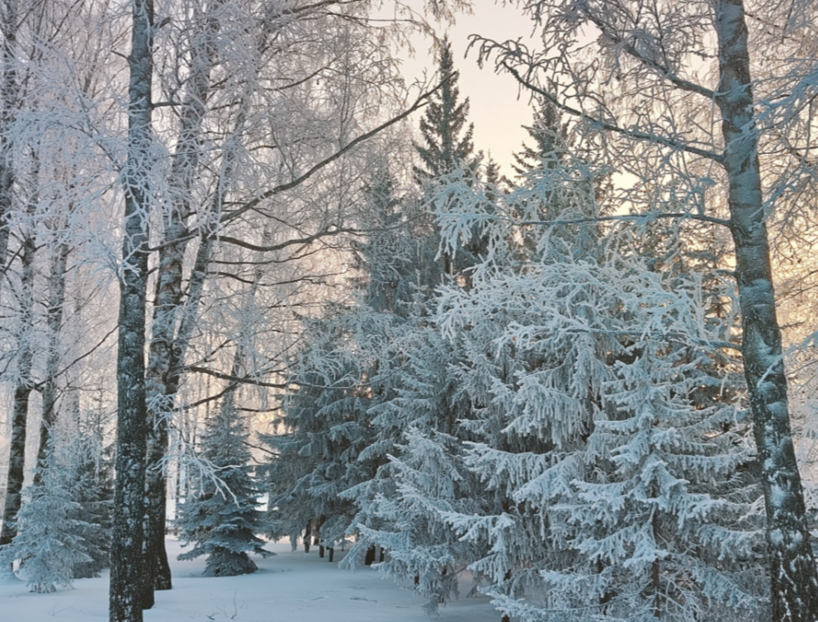 4 знака зодиака, которых 7 февраля ждут личные проблемы