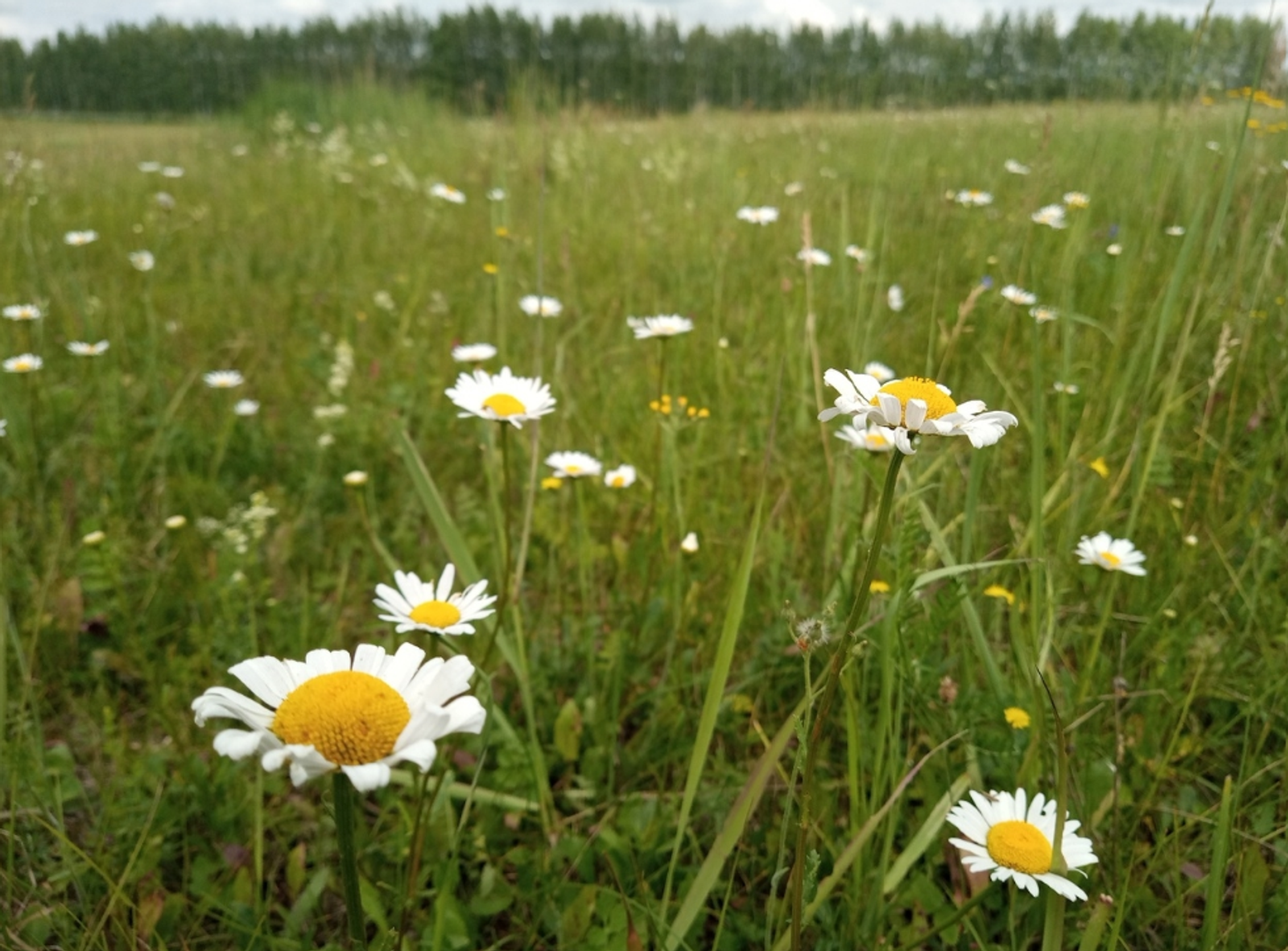 Гороскоп на 19 апреля 2026: 5 знаков зодиака получат шанс изменить жизнь