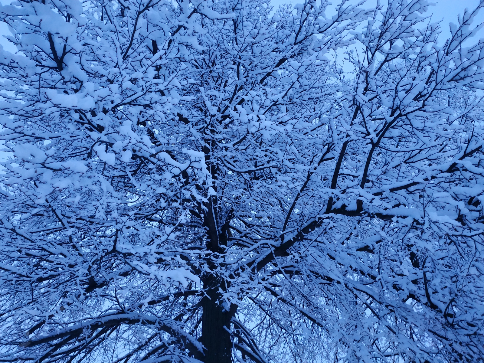 Алдагы көннәр салкын булыр