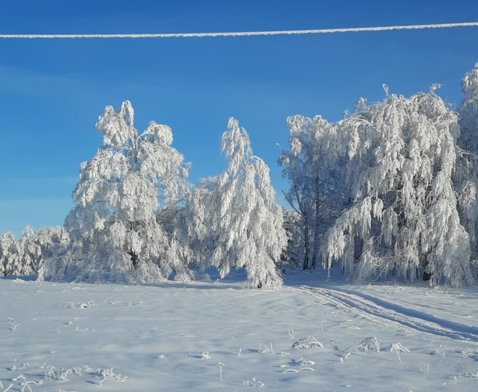 Гороскоп на 22 марта 2026: 3 знакам зодиака судьба готовит особый сюрприз