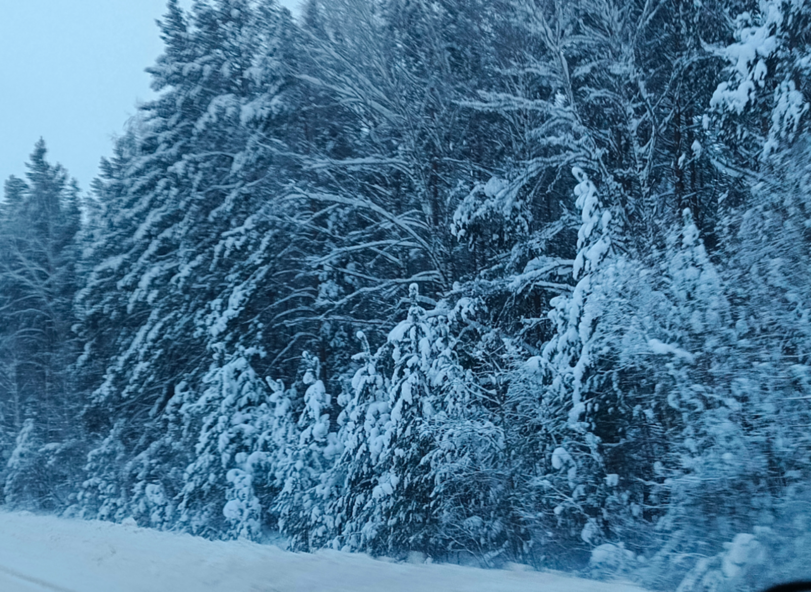 Розалия Хисаева  5 знаков зодиака, которых 6 февраля ждет приятная новость