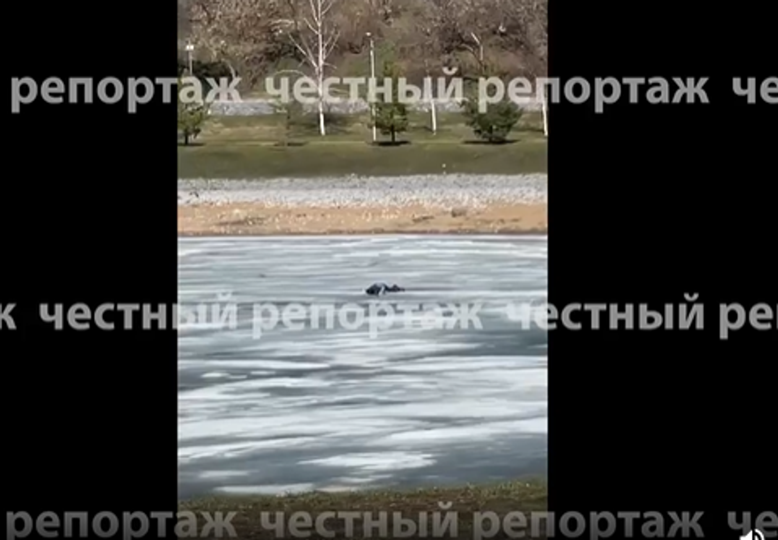 В Башкирии школьница провалилась под лёд, пытаясь спасти рыбака