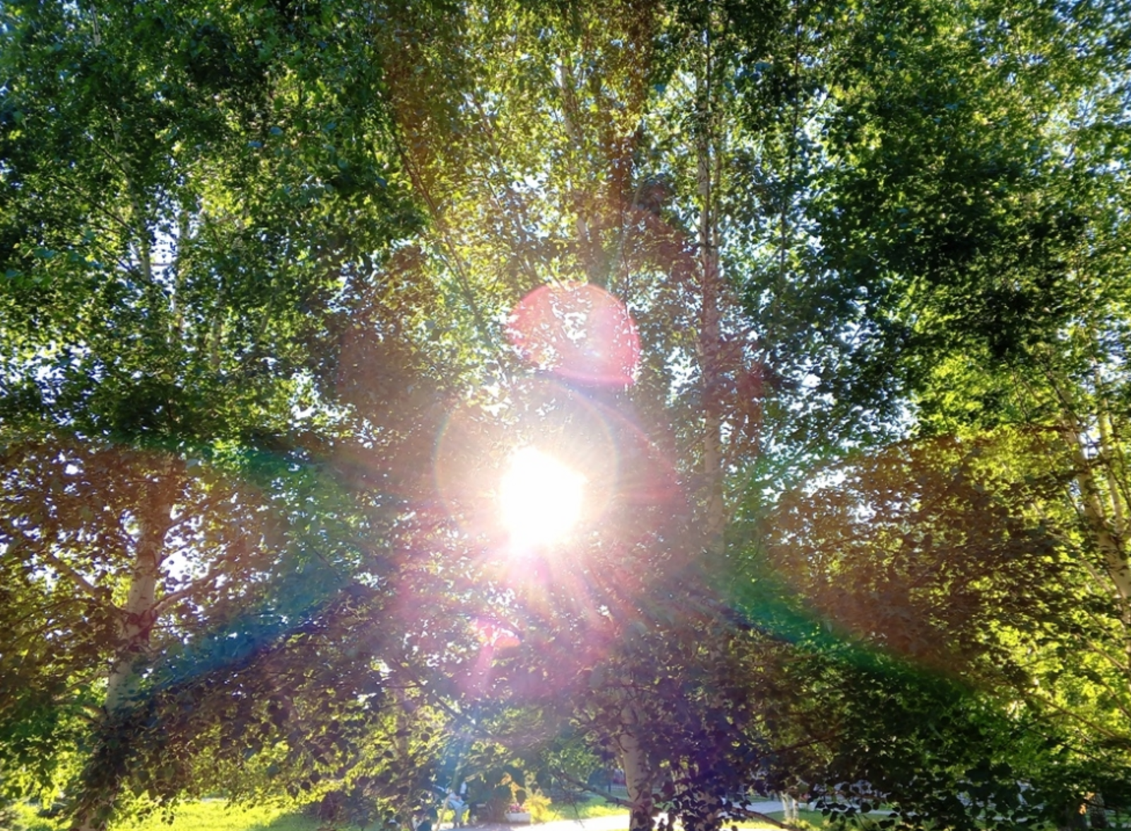 3 знака зодиака, которых 15 февраля ждут незабываемые события