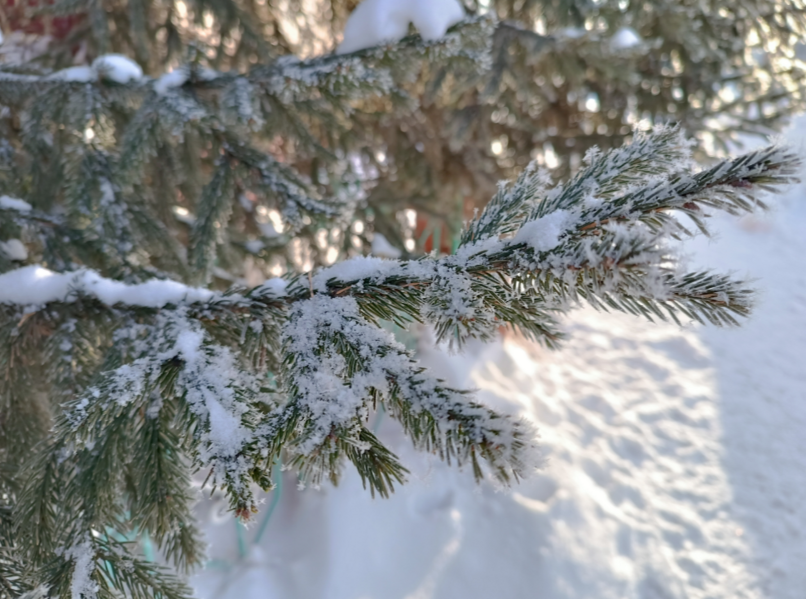 Гороскоп на 5 марта 2026: звезды предостерегают