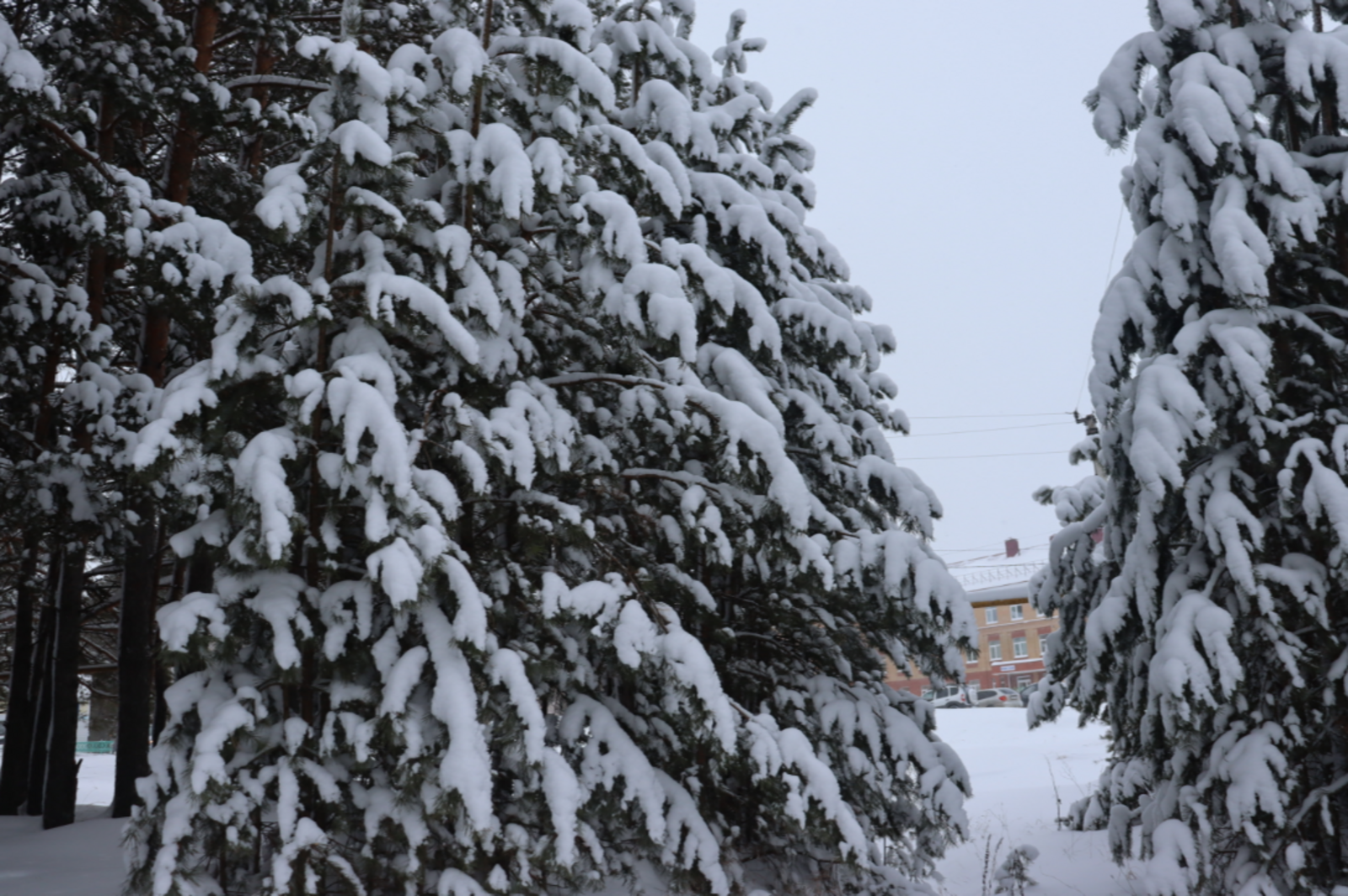 Что приготовил нам 10 марта 2026 года: гороскоп для всех знаков зодиака