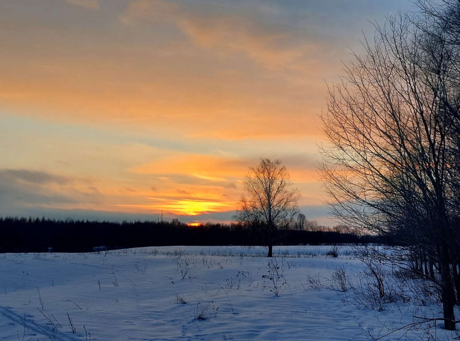 3 знака Зодиака, которые 21 февраля снимут свои "розовые очки"