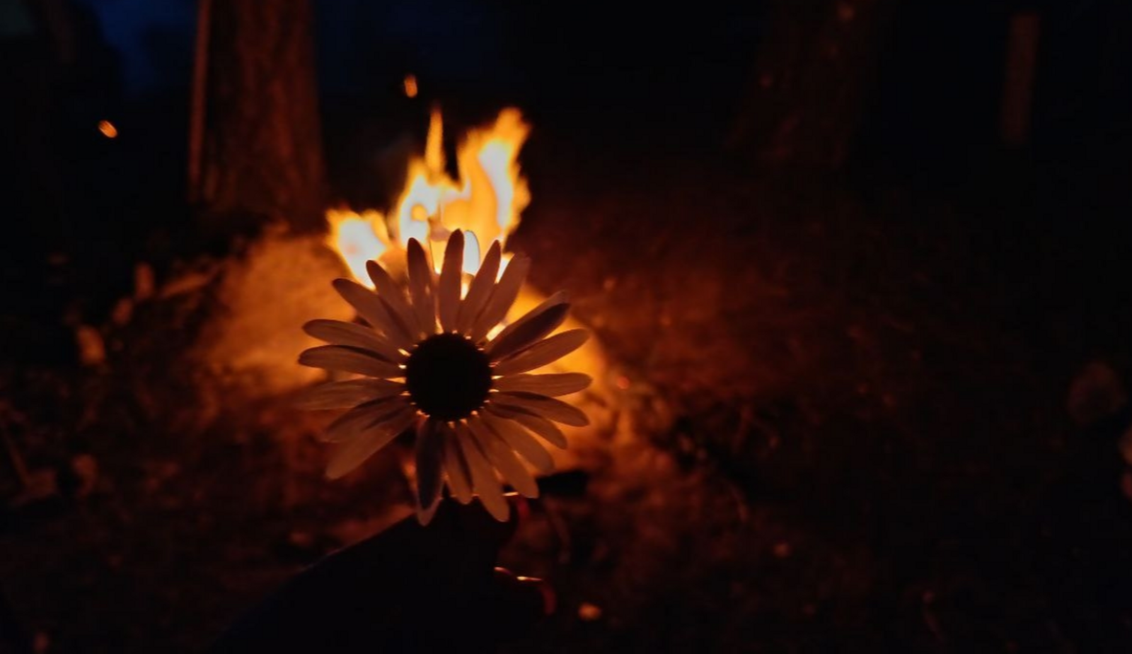 Гороскоп на 16 марта 2026 года для всех знаков зодиака