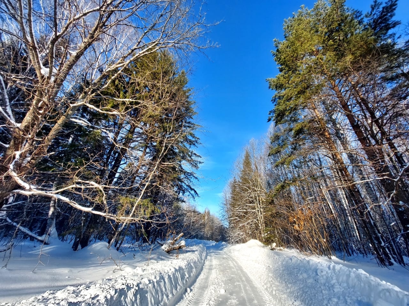 23 февраля 2026: для 3 знаков зодиака этот день готовит особый сюрприз