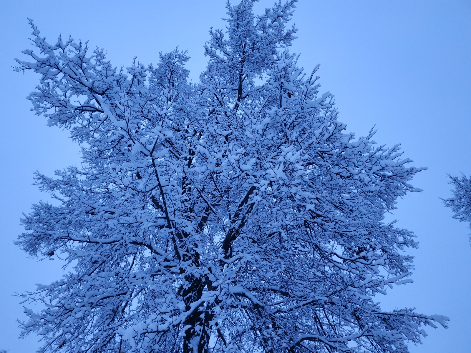 Оперативно-профилактическое мероприятие «Должник»