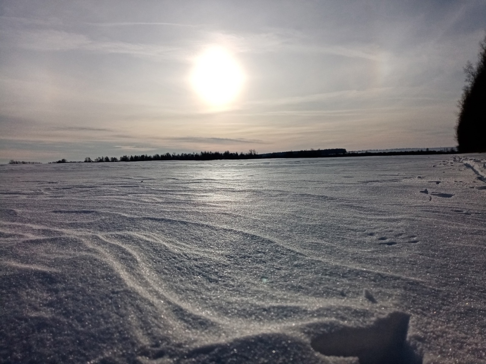 Суык булса  мәктәпкә кем бармый кала ала?