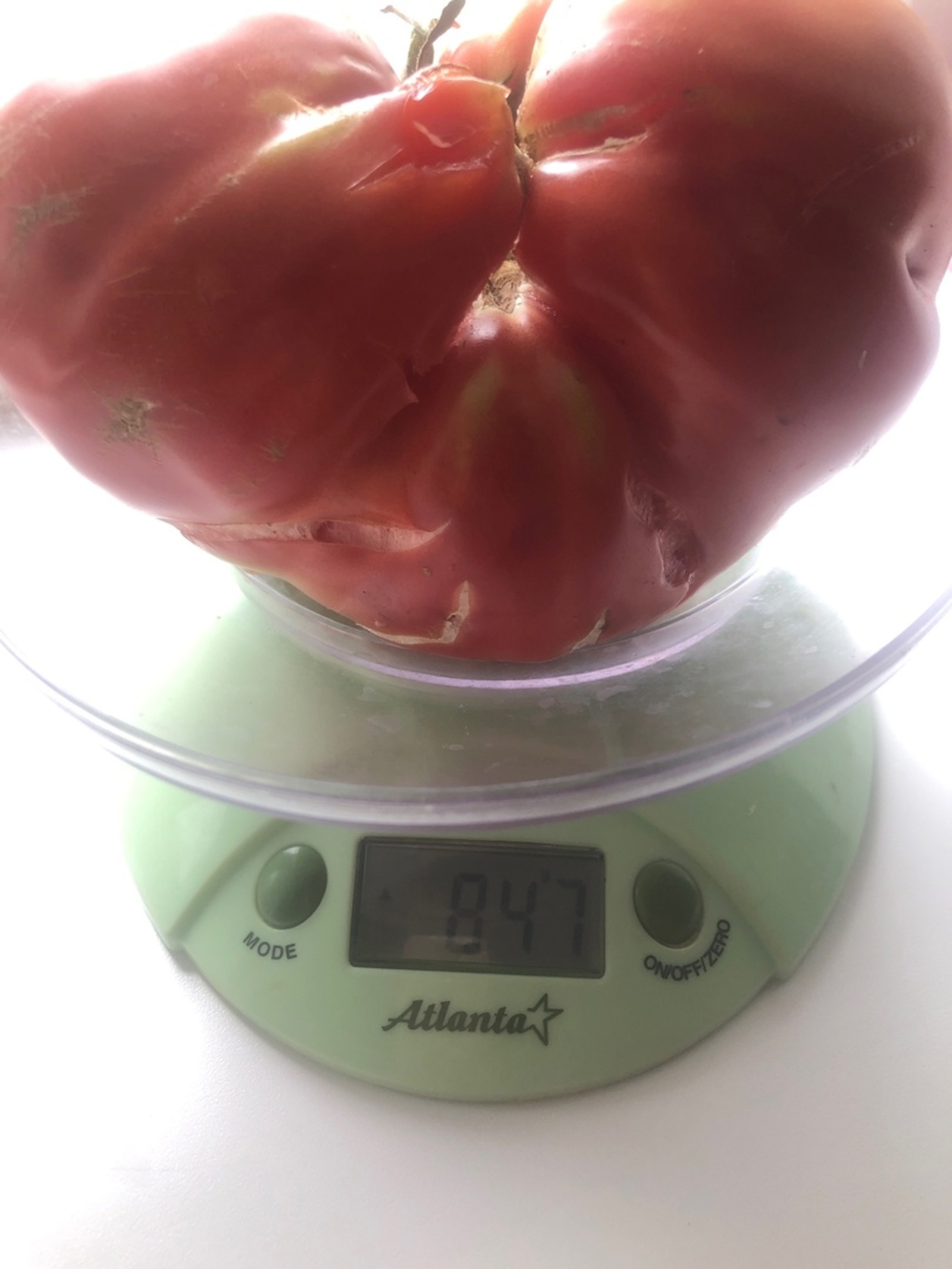 Иң тәмле помидор сортлары