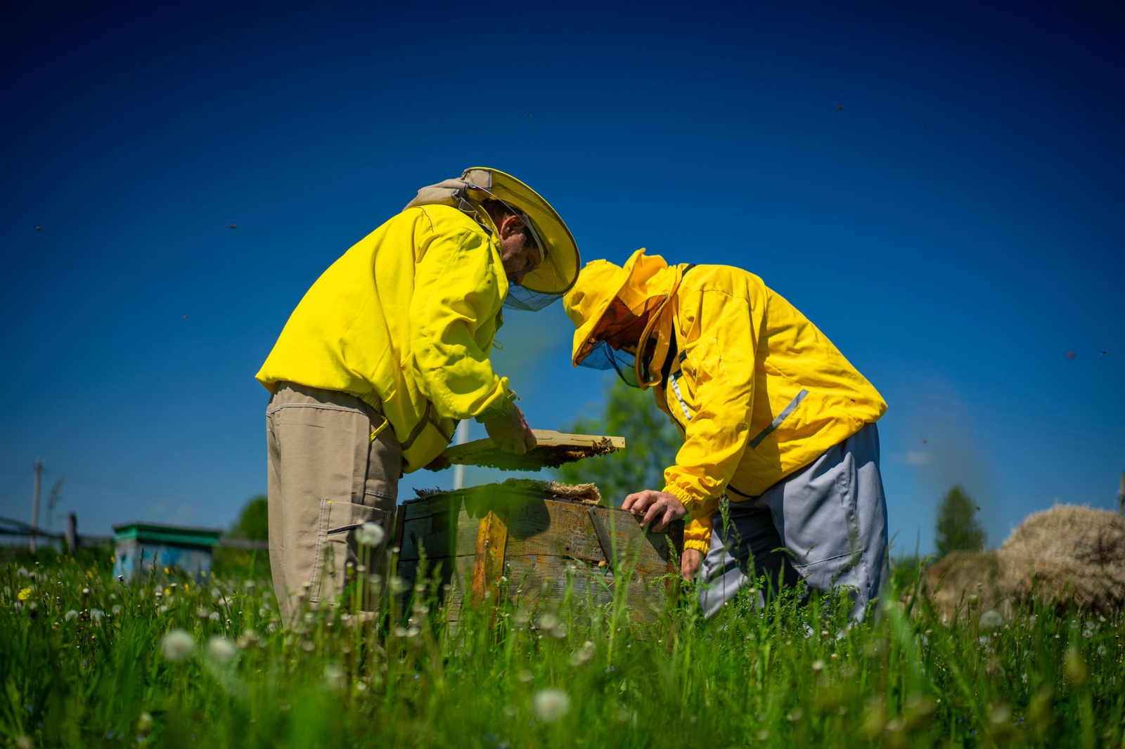 В Башкирии третий год подряд проходит операция «Пчела»