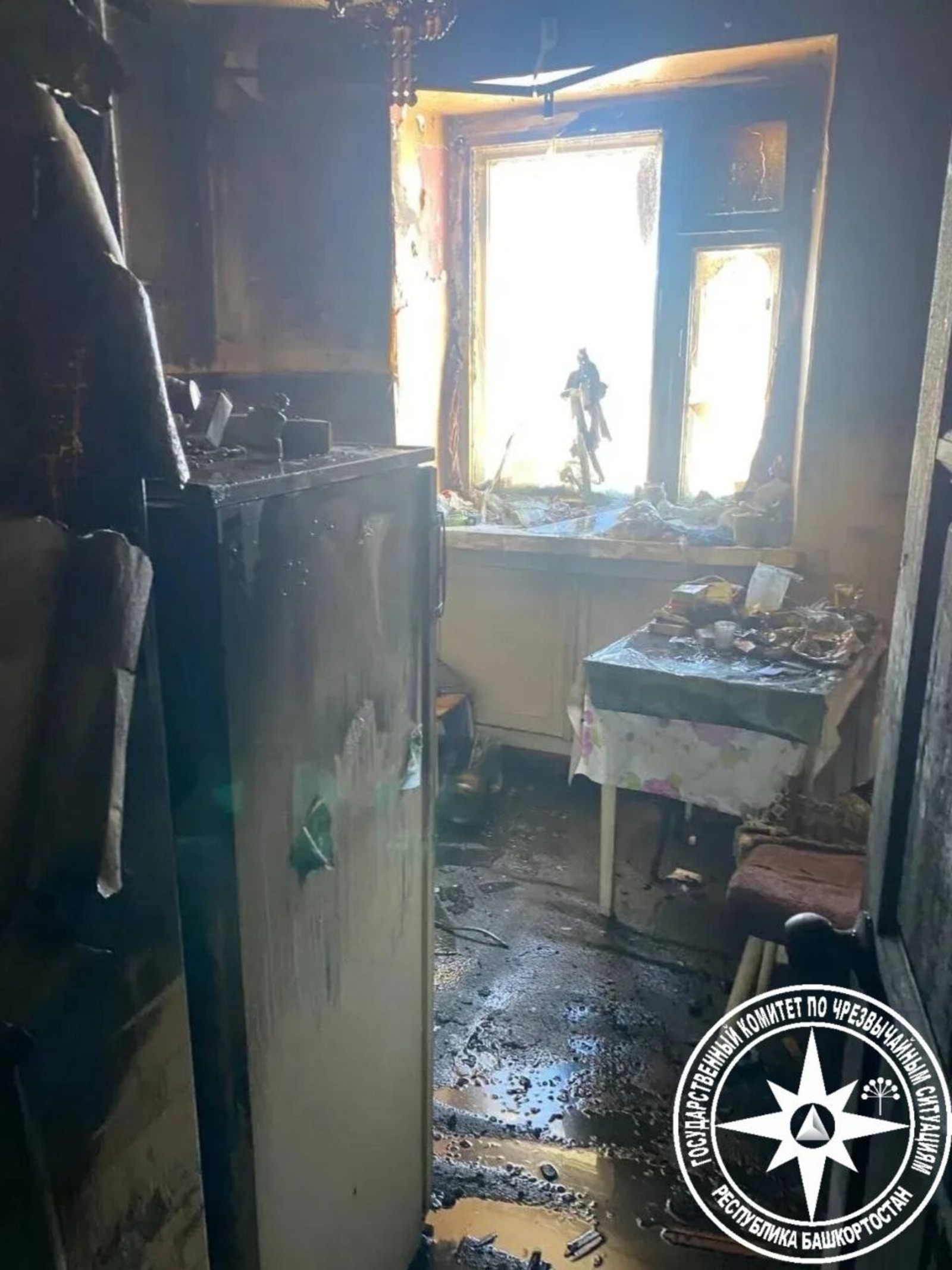 Поздняя зима, а именно февраль, может показаться не самым благоприятным временем