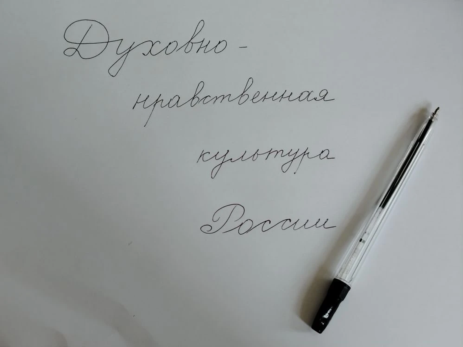 В школах России введут новый предмет