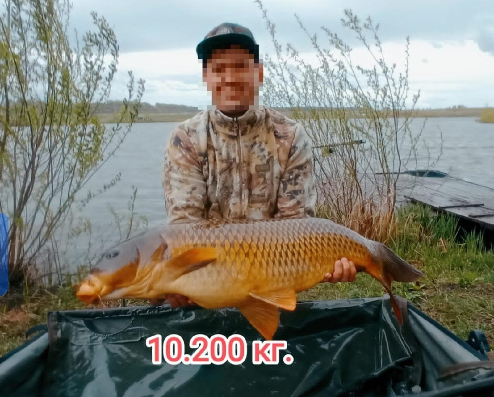 Секреты ловли карпа в мае 2025: хитрости успешной рыбалки