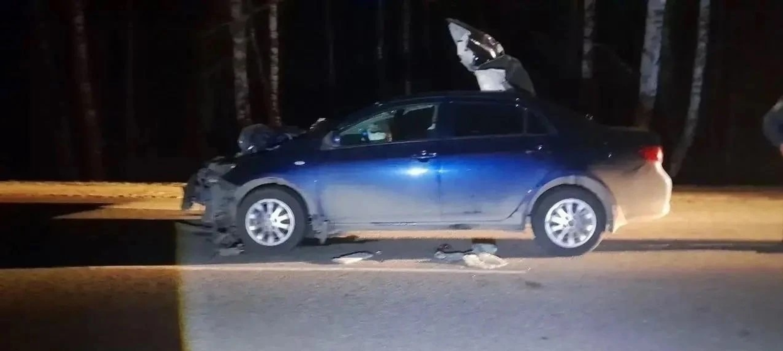 В Башкирии столкнулись лось и иномарка