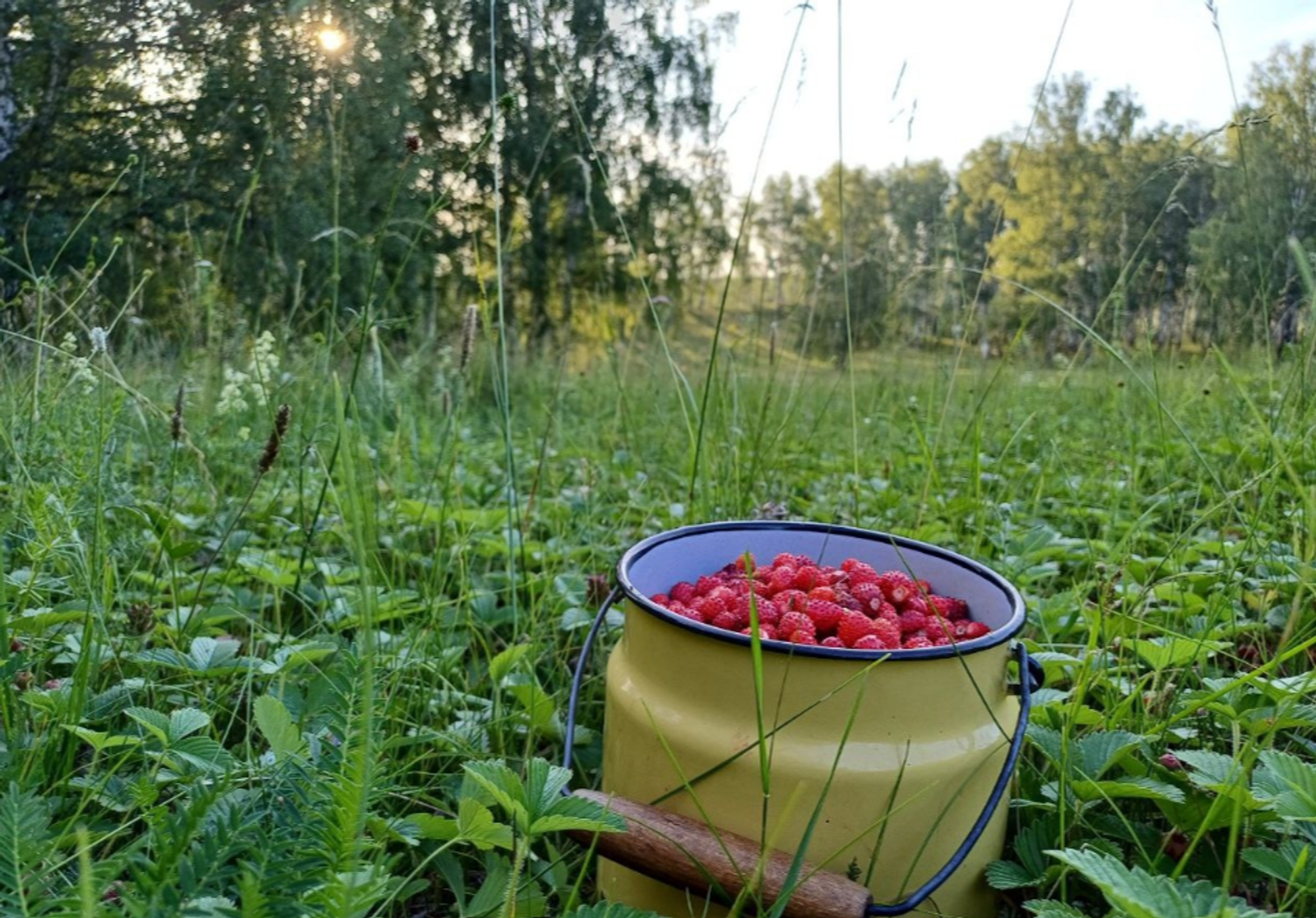 Гороскоп на 18 апреля 2026: 5 знаков зодиака окажутся на пороге перемен