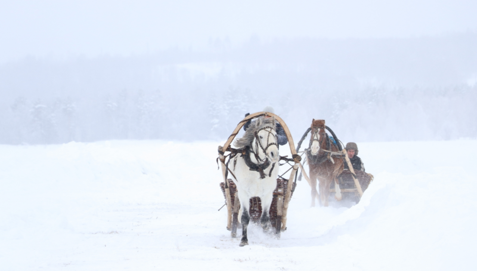 Гороскоп на 28 марта 2026: 4 знакам придется встретиться со своими страхами