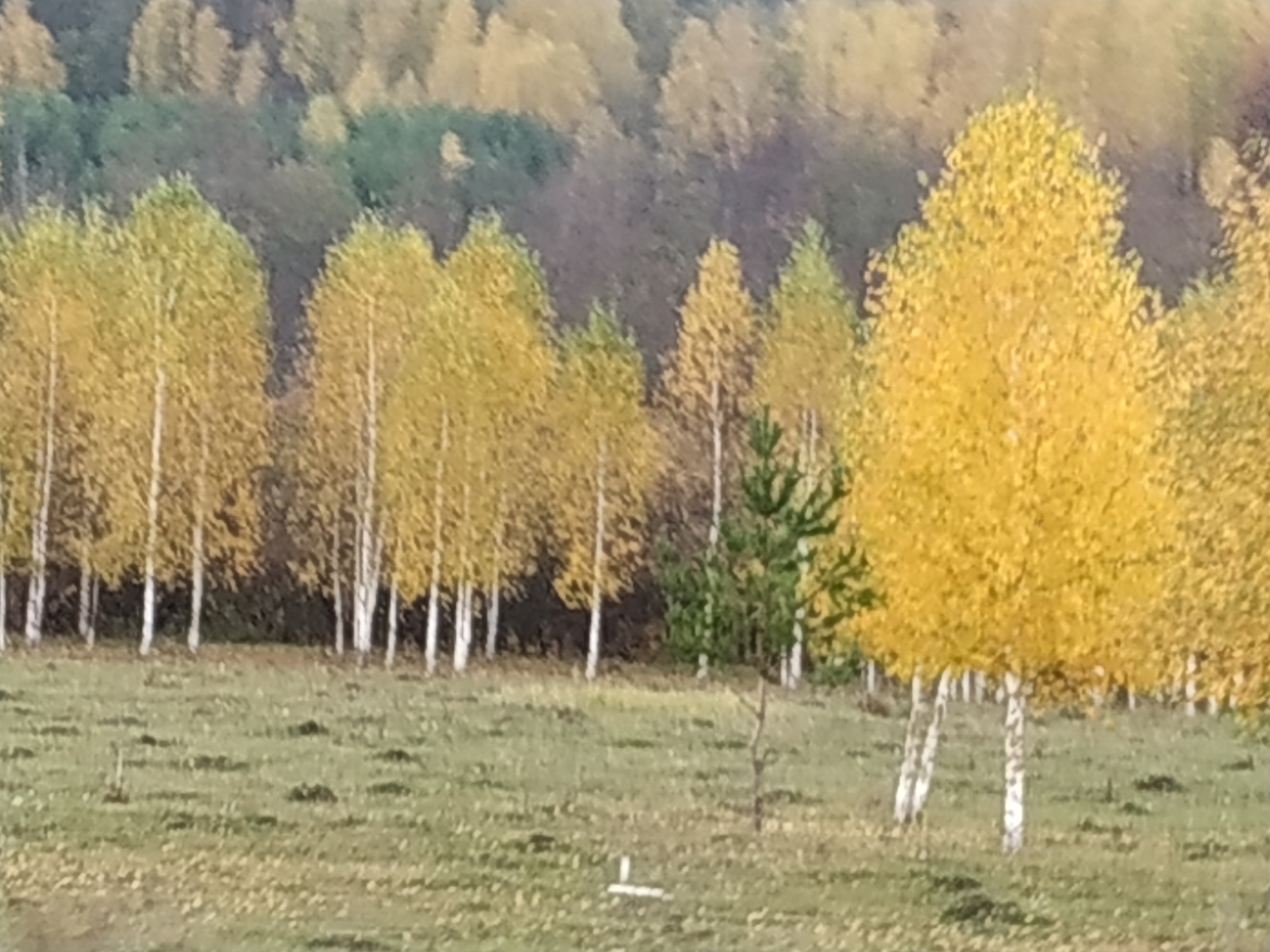 "Иxлас"ның ишеге ачык