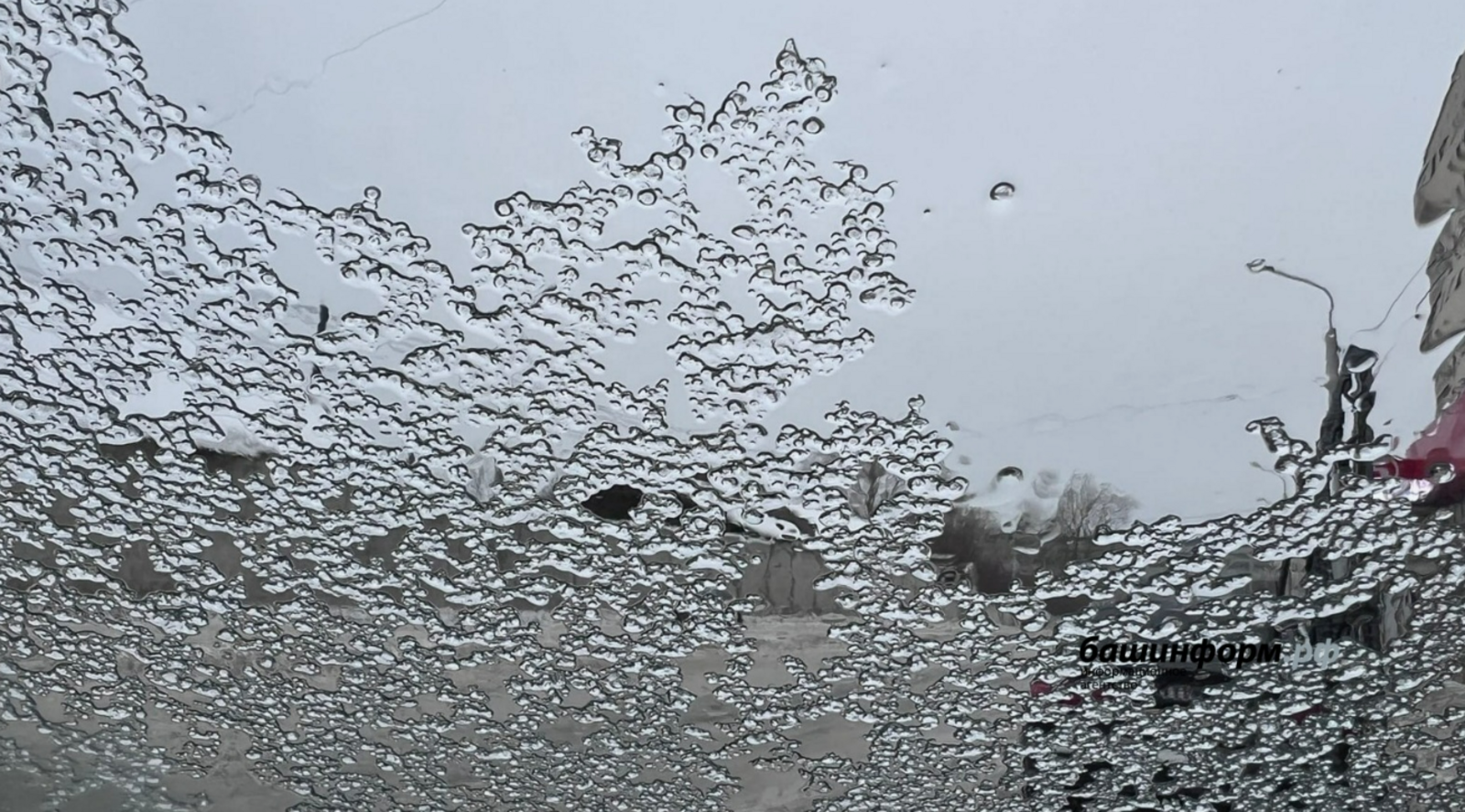 Башкортстанга яңгырлар киләме?