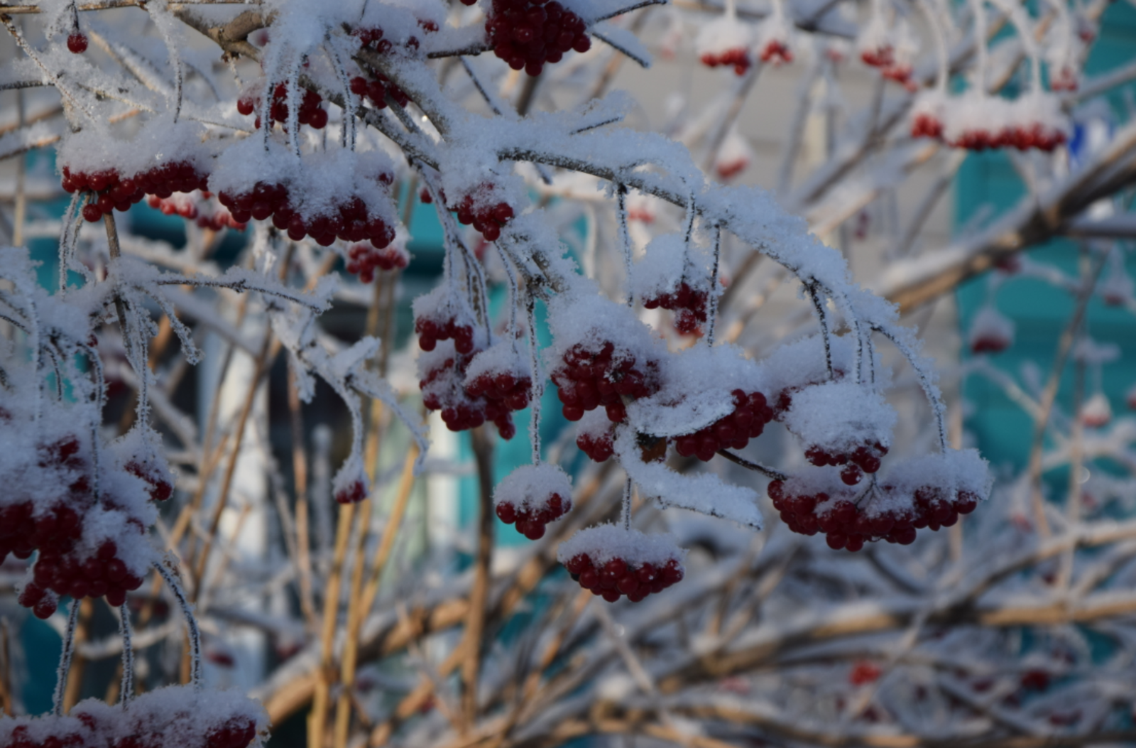 Гороскоп на 8 марта 2026 года для всех знаков зодиака